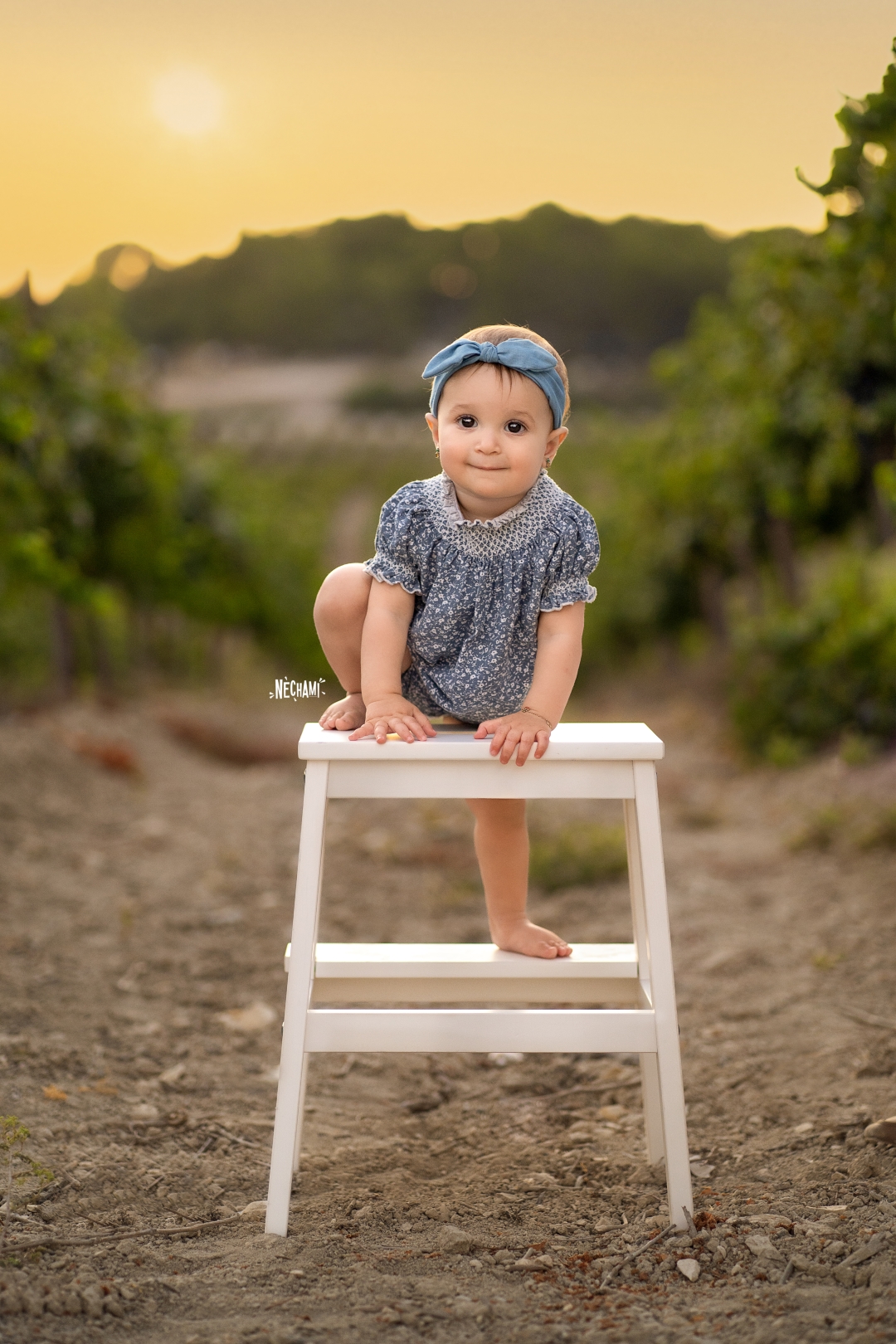 צילום נחמי פרקש 0556733034 (5).jpg