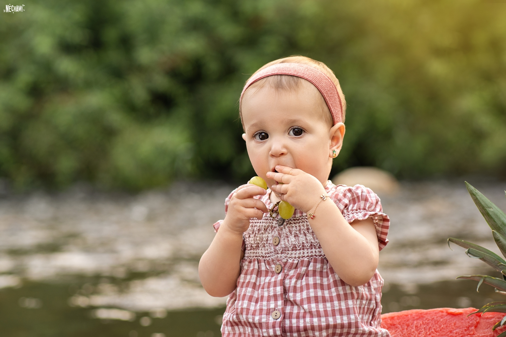 צילום נחמי פרקש 0556733034 (8).jpg