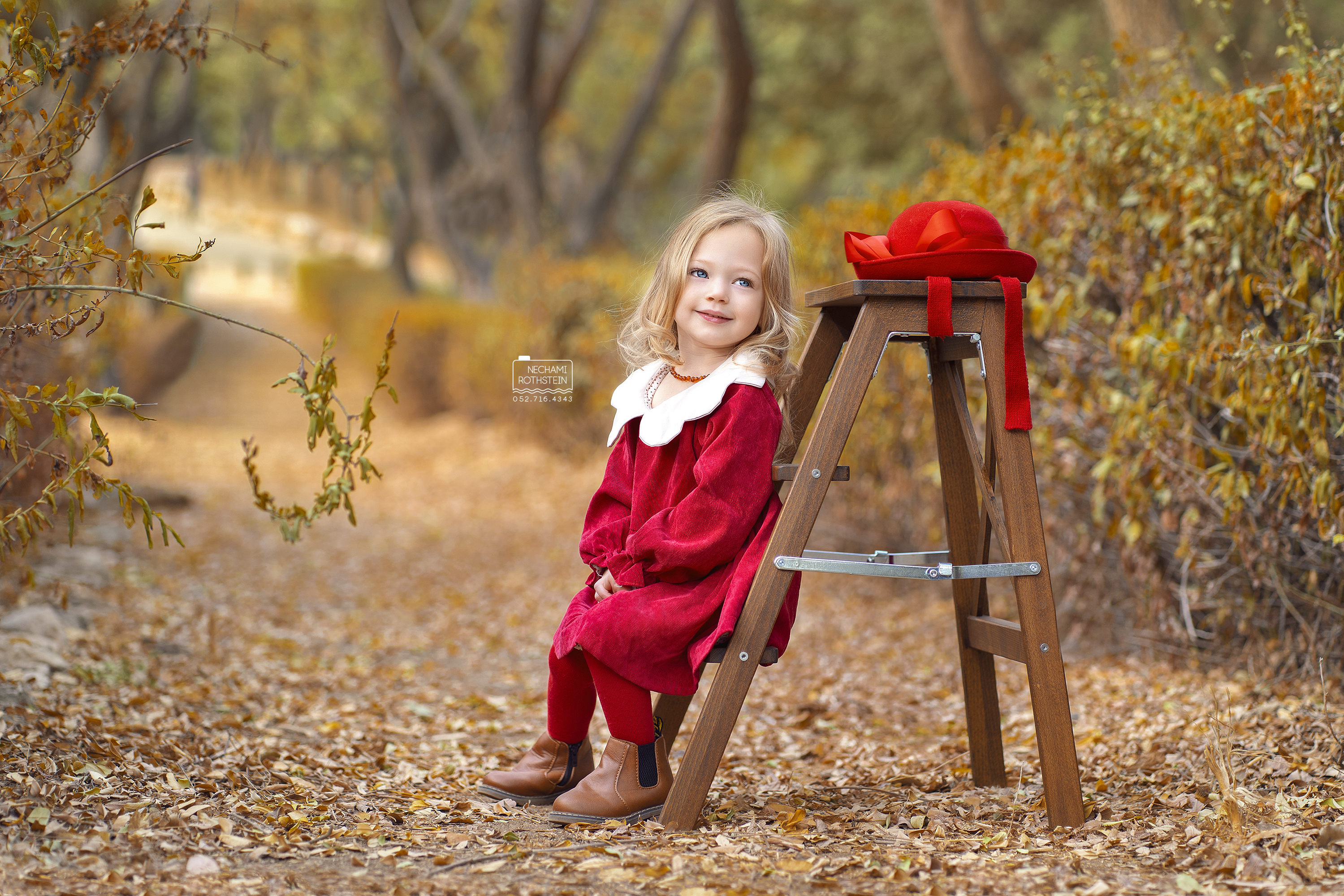 צילום נחמי רוטשטיין 0527164343 (1).jpg