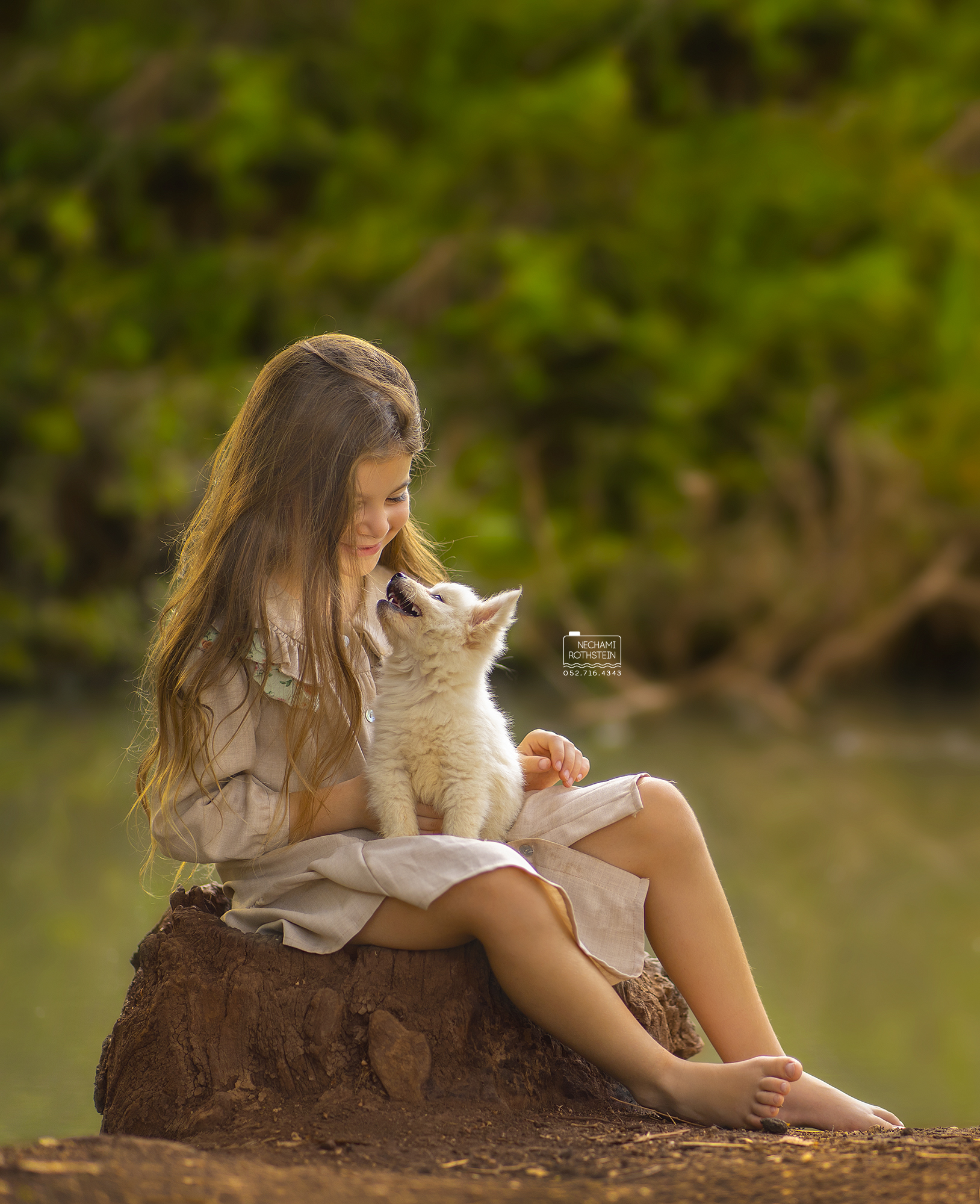 צילום נחמי רוטשטיין 0527164343 (1).jpg