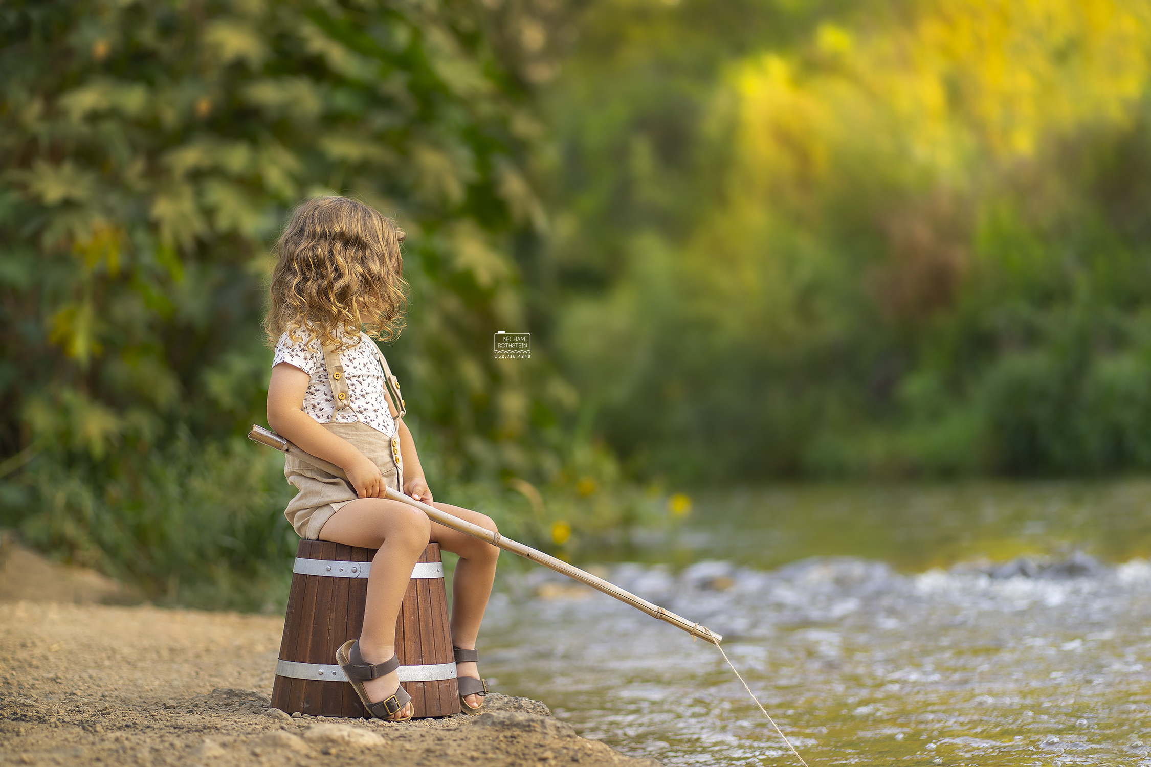 צילום נחמי רוטשטיין 0527164343 (1).jpg