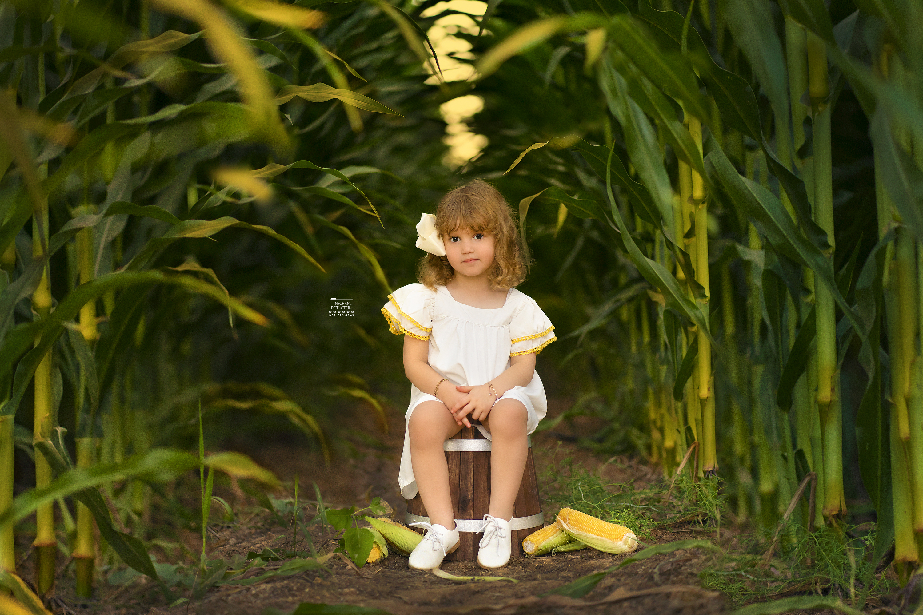 צילום נחמי רוטשטיין 0527164343 (10).jpg