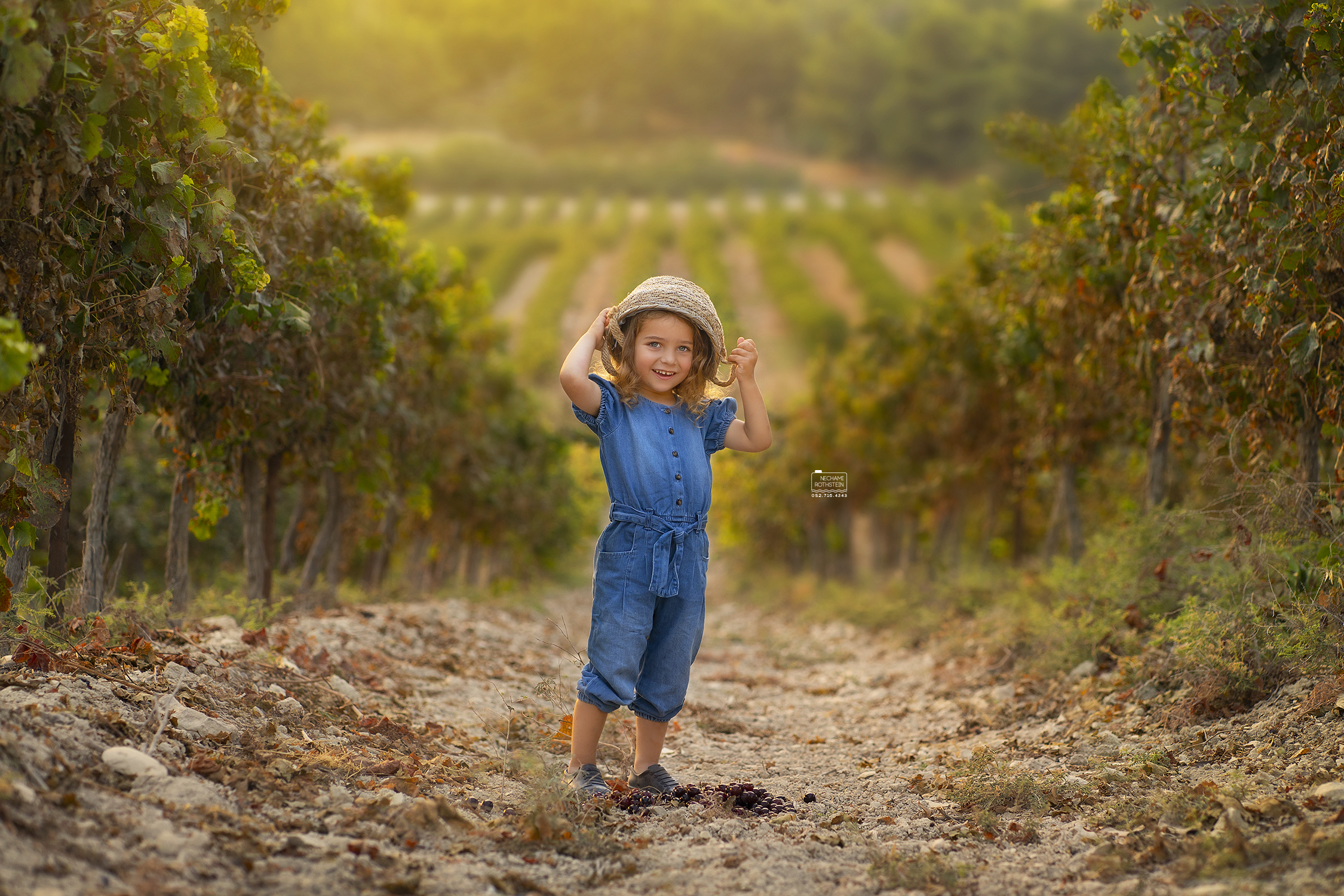 צילום נחמי רוטשטיין 0527164343 (10).jpg