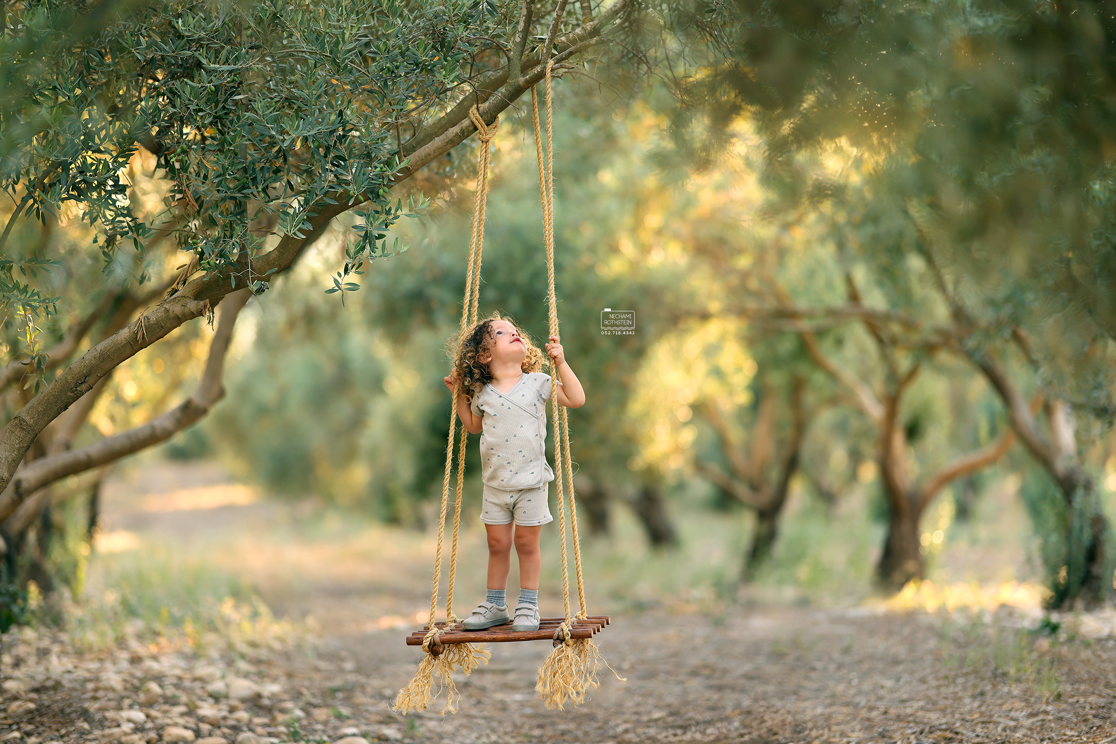 צילום נחמי רוטשטיין 0527164343 (10).jpg