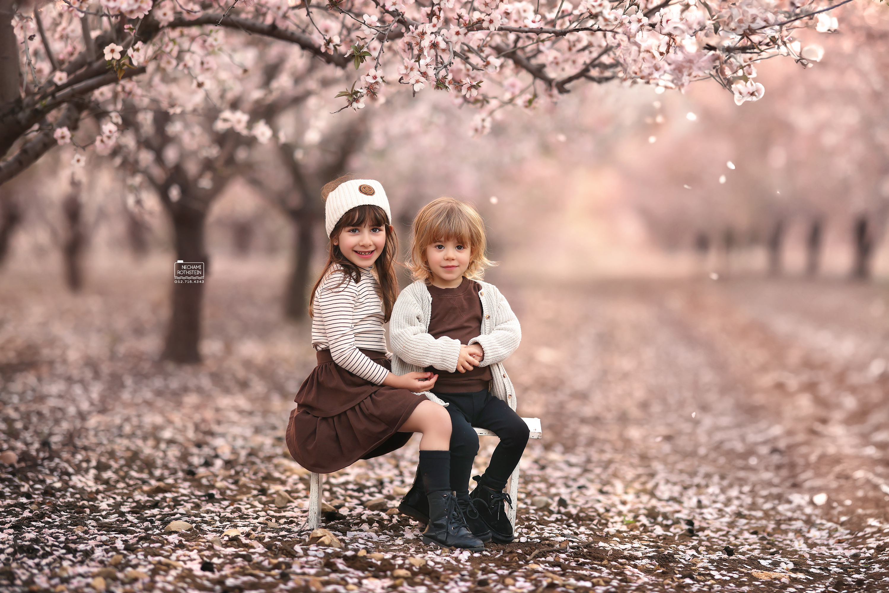 צילום נחמי רוטשטיין 0527164343 (10).jpg