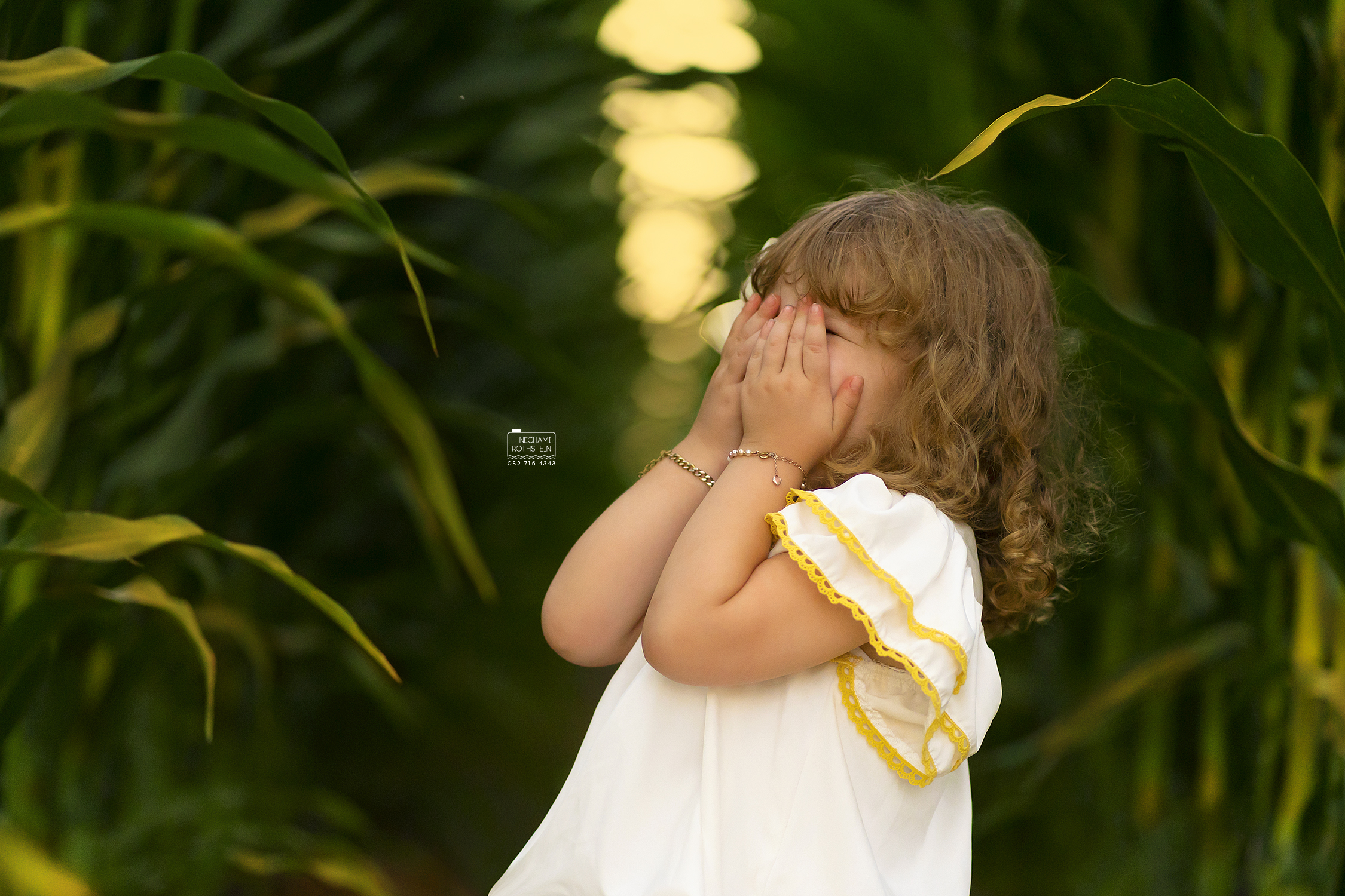 צילום נחמי רוטשטיין 0527164343 (11).jpg