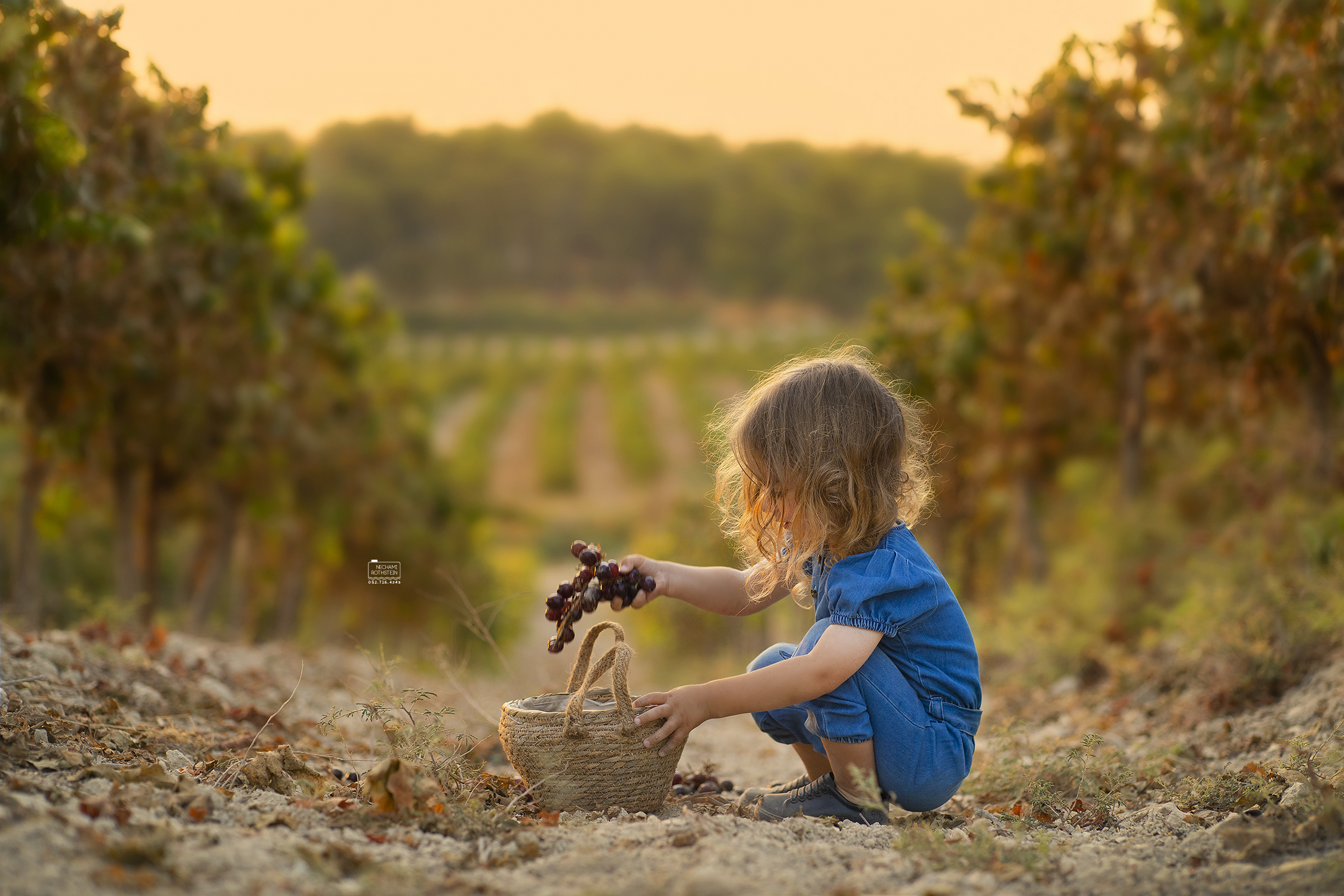 צילום נחמי רוטשטיין 0527164343 (11).jpg