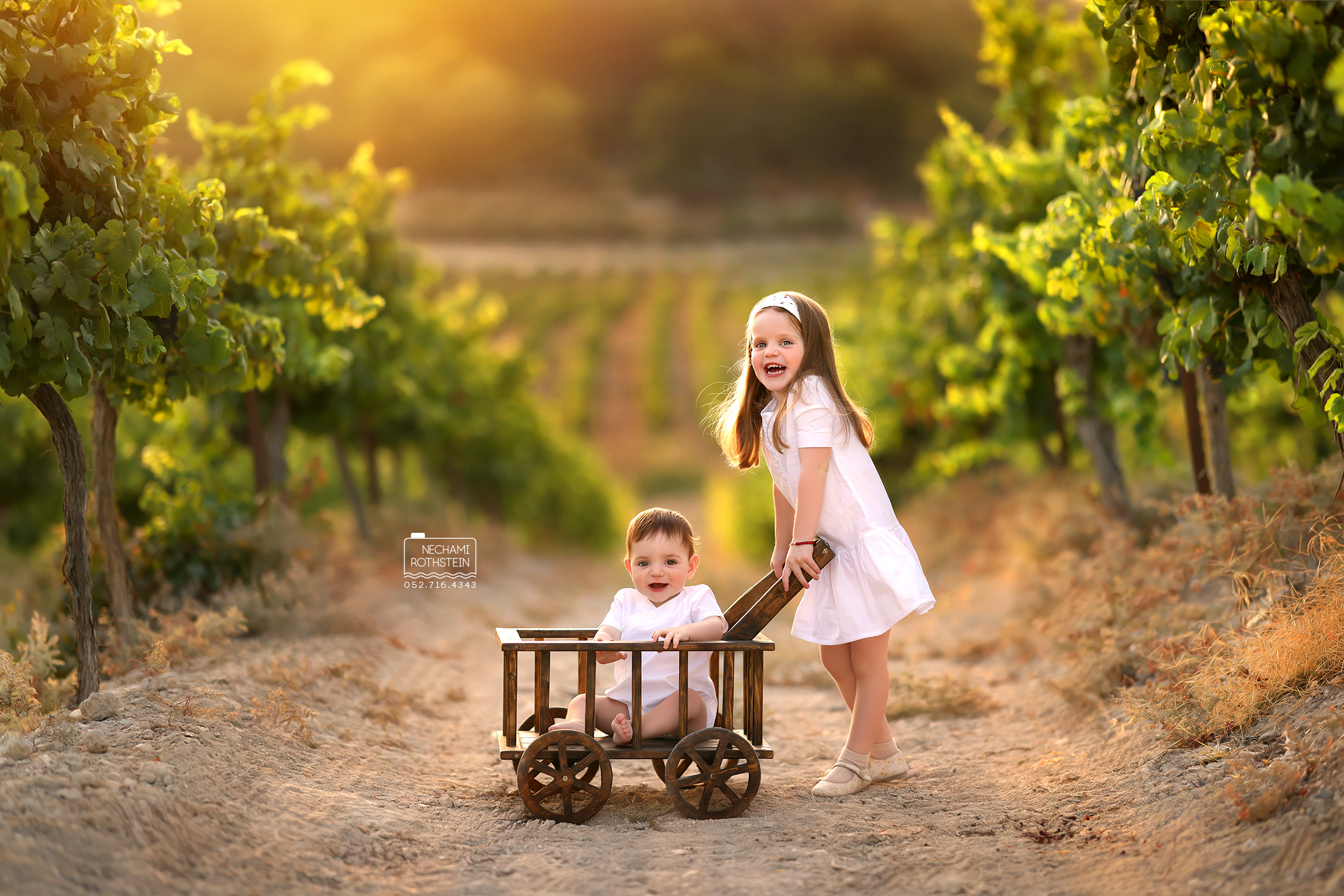 צילום נחמי רוטשטיין 0527164343 (11).jpg