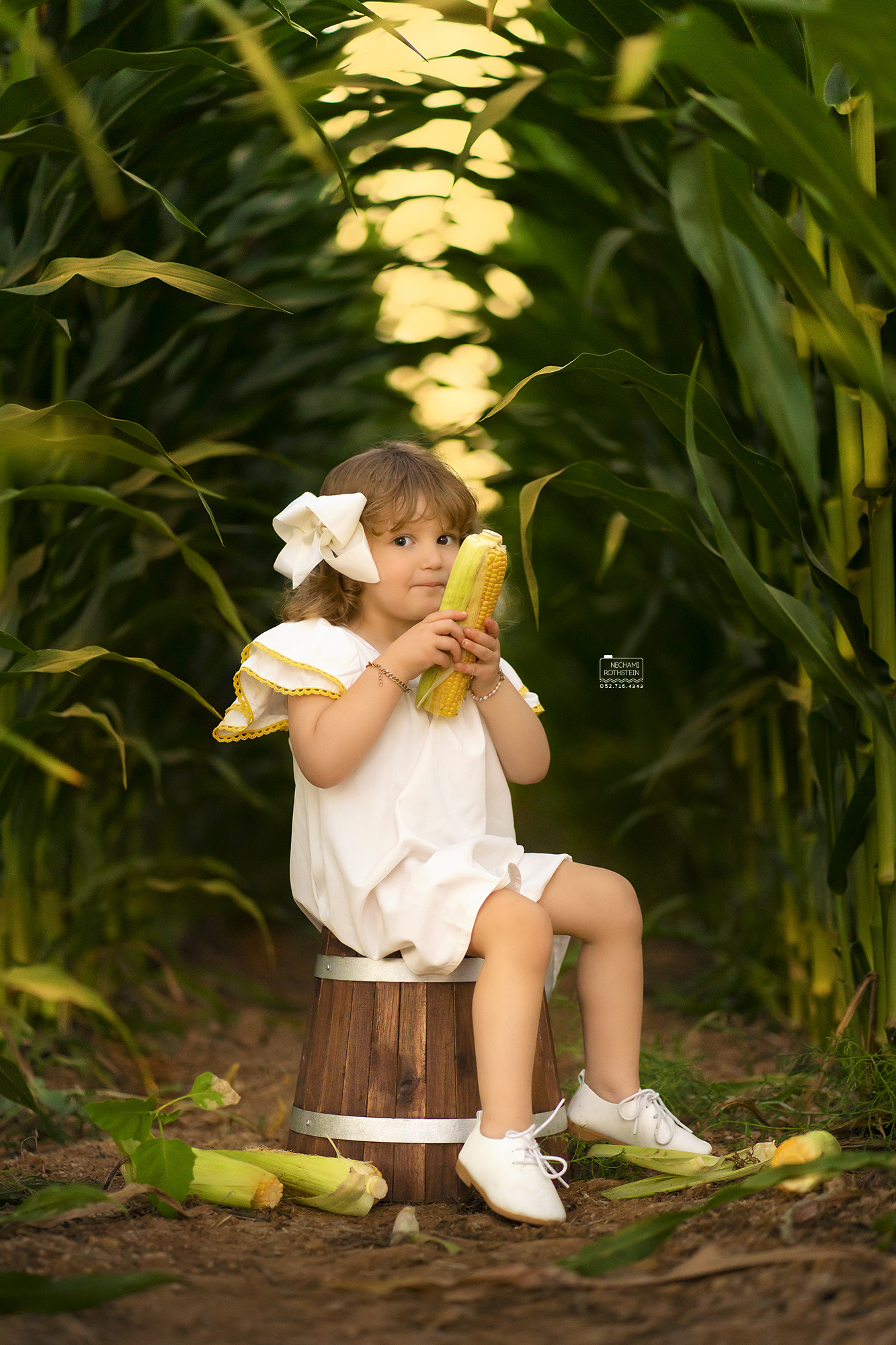 צילום נחמי רוטשטיין 0527164343 (12).jpg