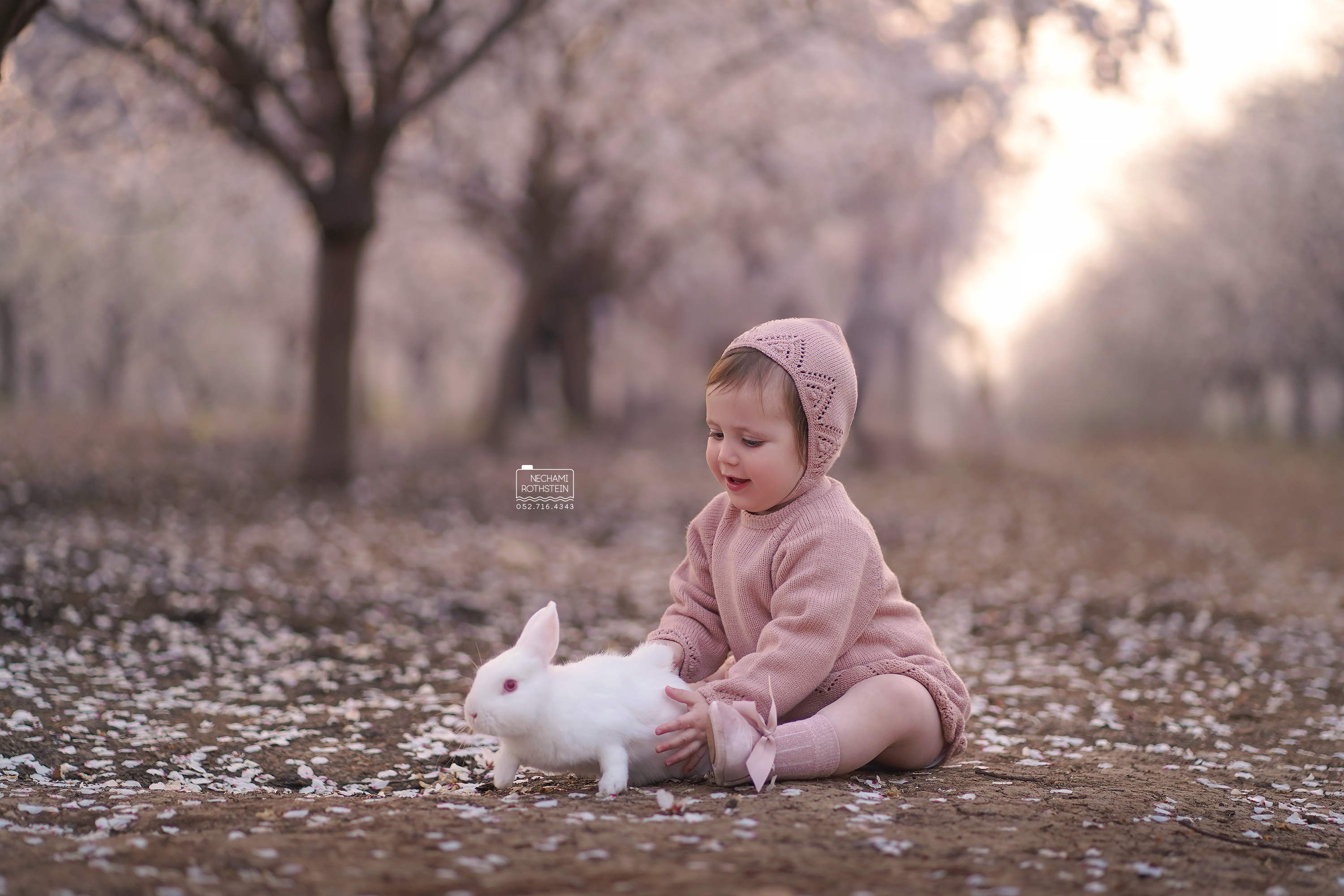 צילום נחמי רוטשטיין 0527164343 (12).jpg