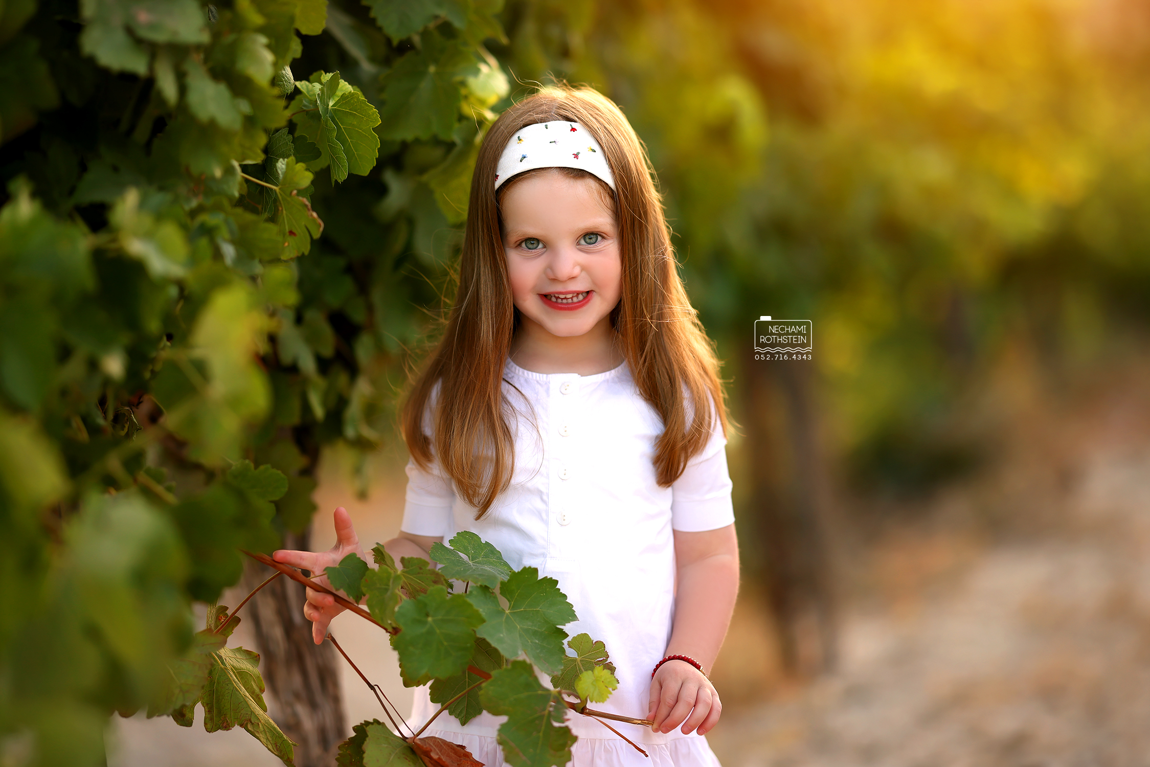 צילום נחמי רוטשטיין 0527164343 (12).jpg