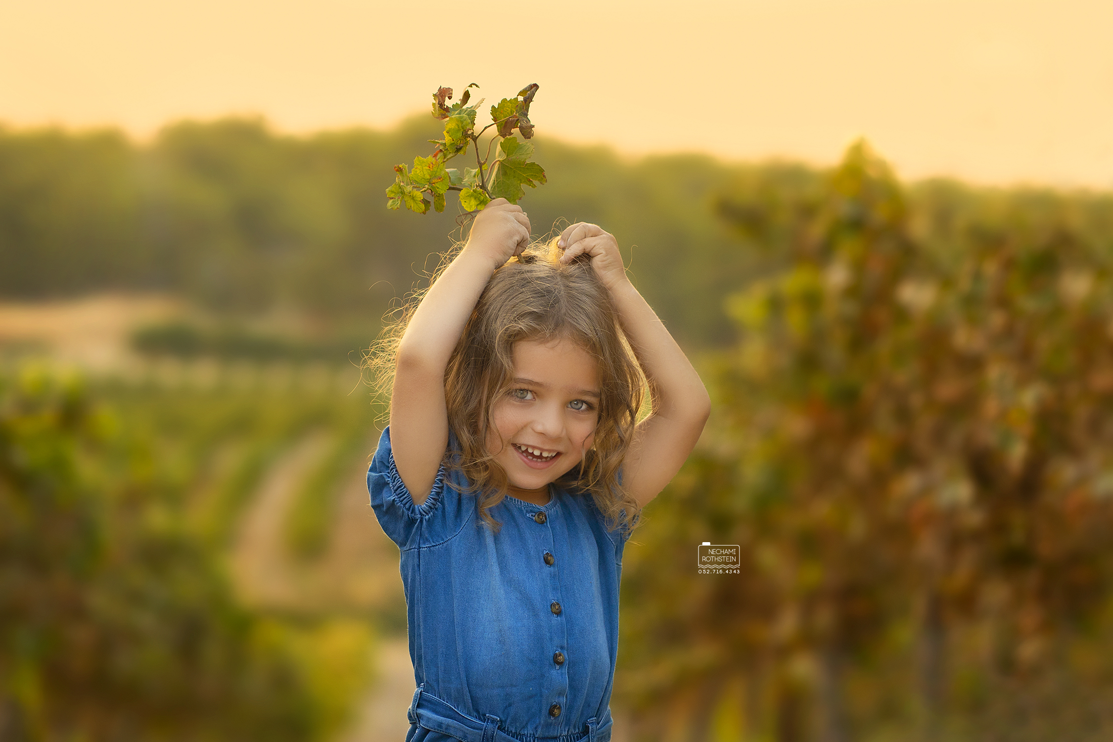 צילום נחמי רוטשטיין 0527164343 (13).jpg