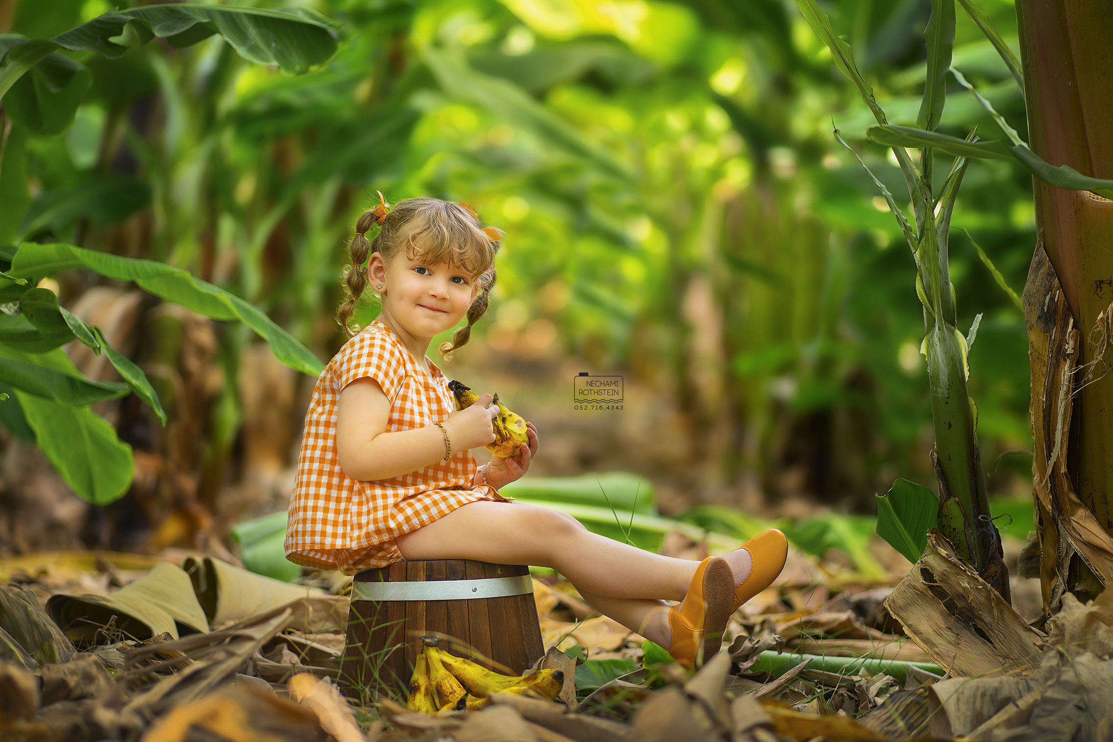 צילום נחמי רוטשטיין 0527164343 (14).jpg