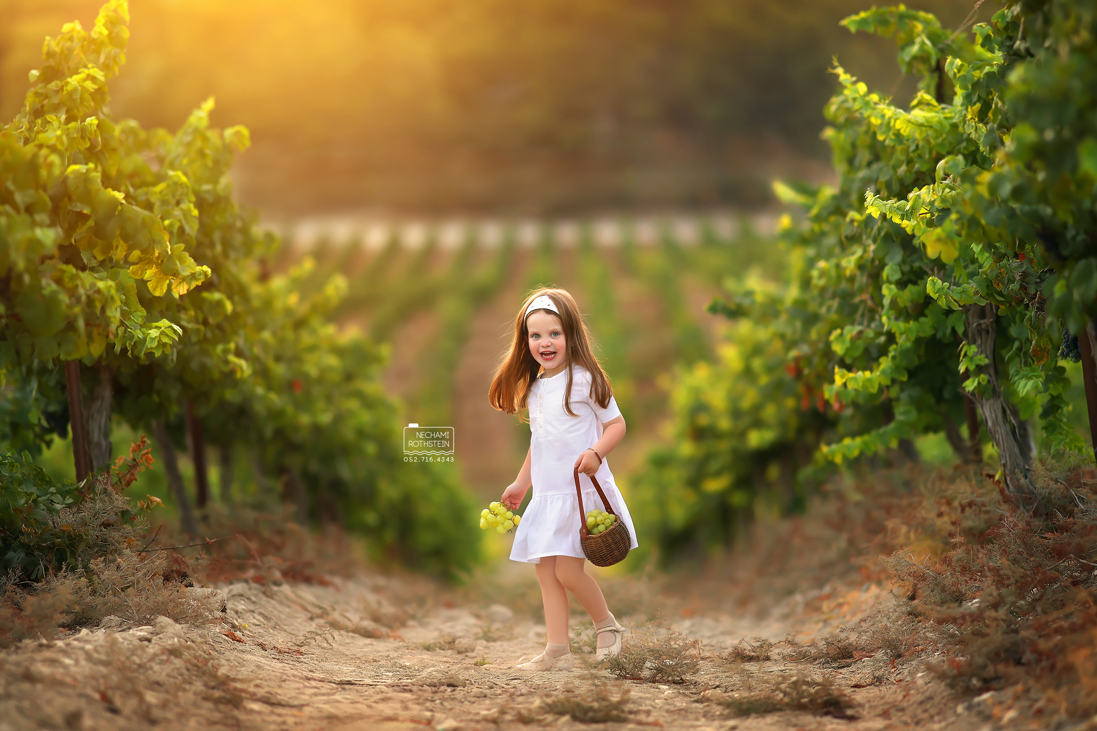 צילום נחמי רוטשטיין 0527164343 (15).jpg