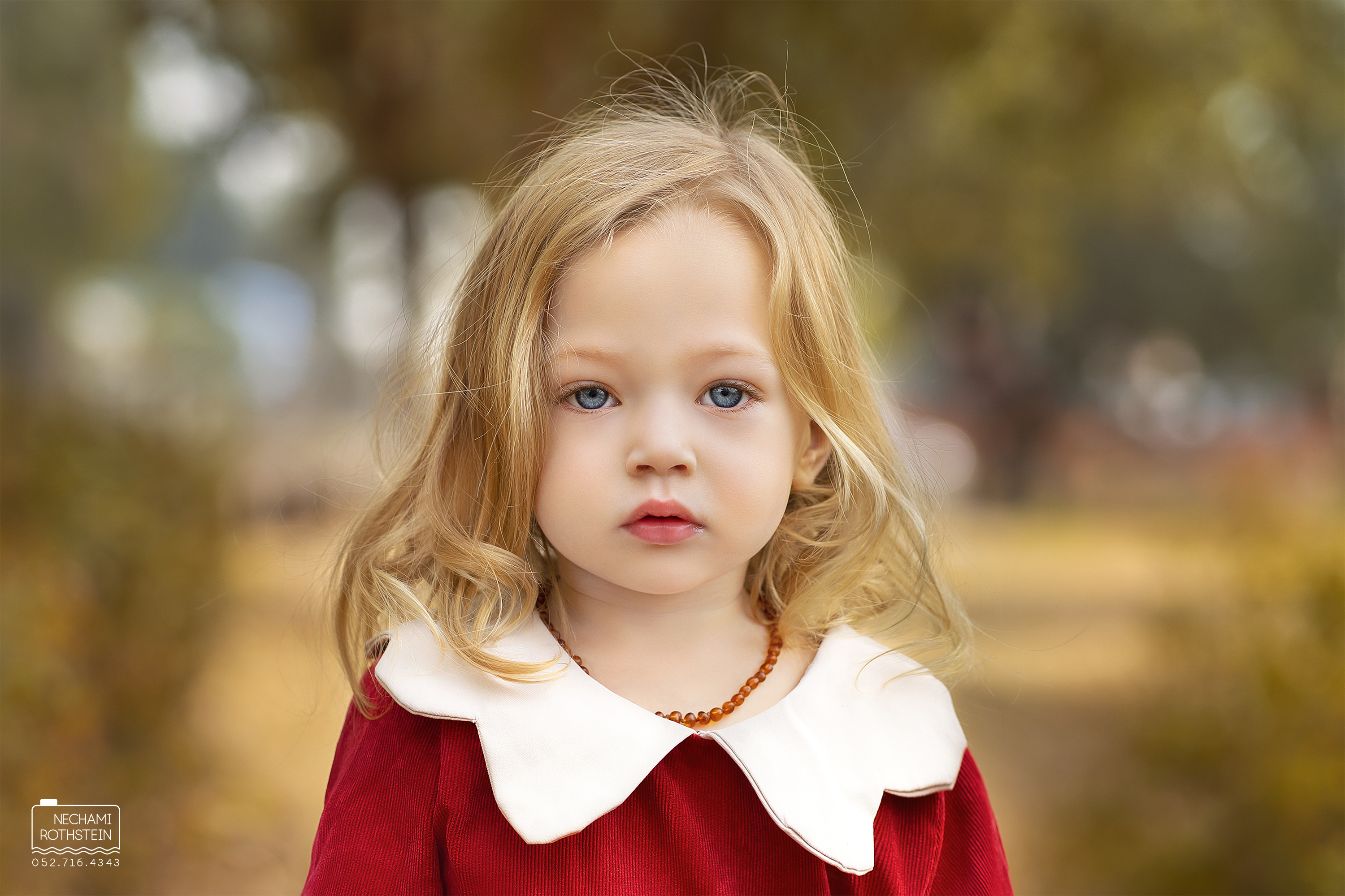 צילום נחמי רוטשטיין 0527164343 (2).jpg