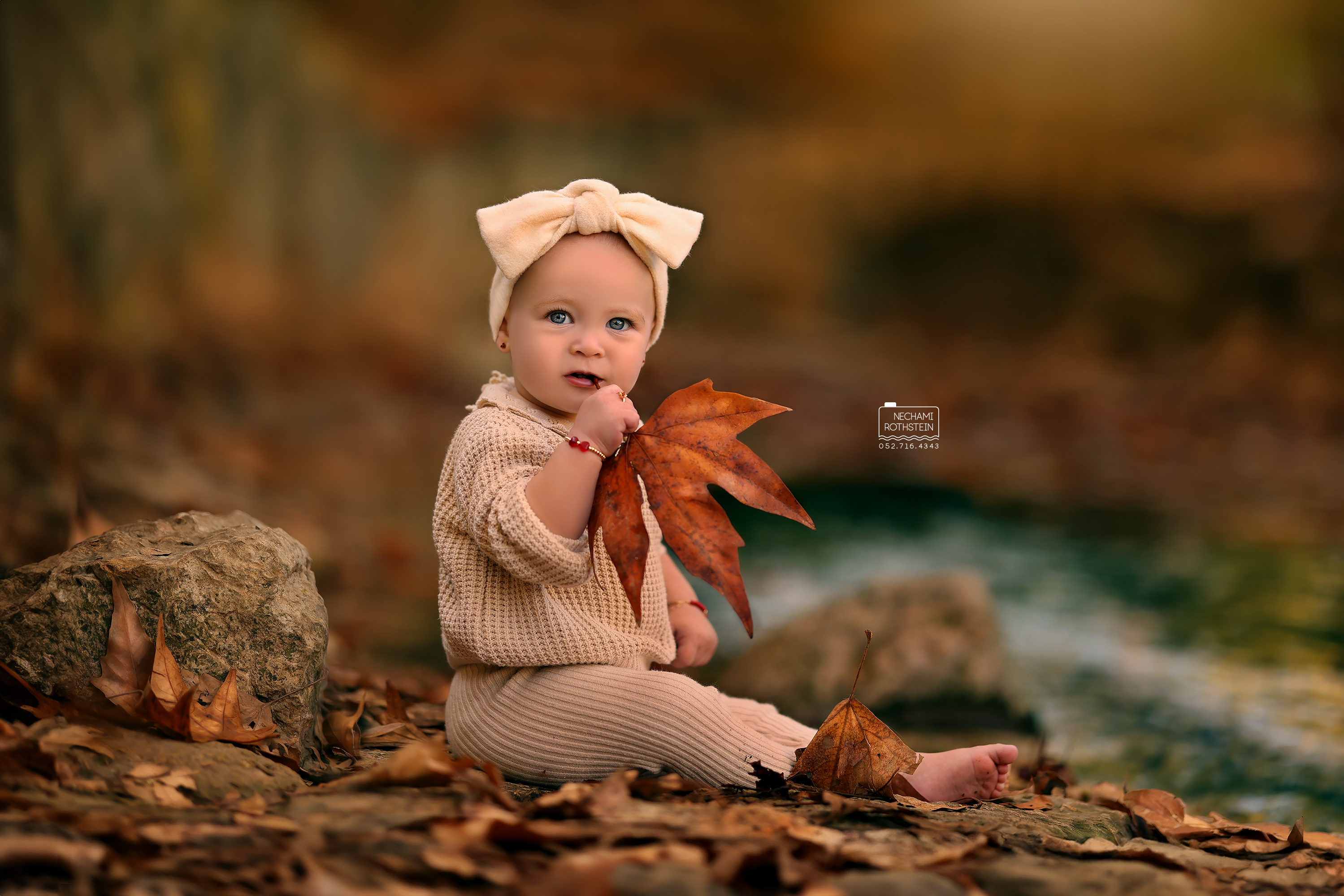 צילום נחמי רוטשטיין 0527164343 (2).jpg