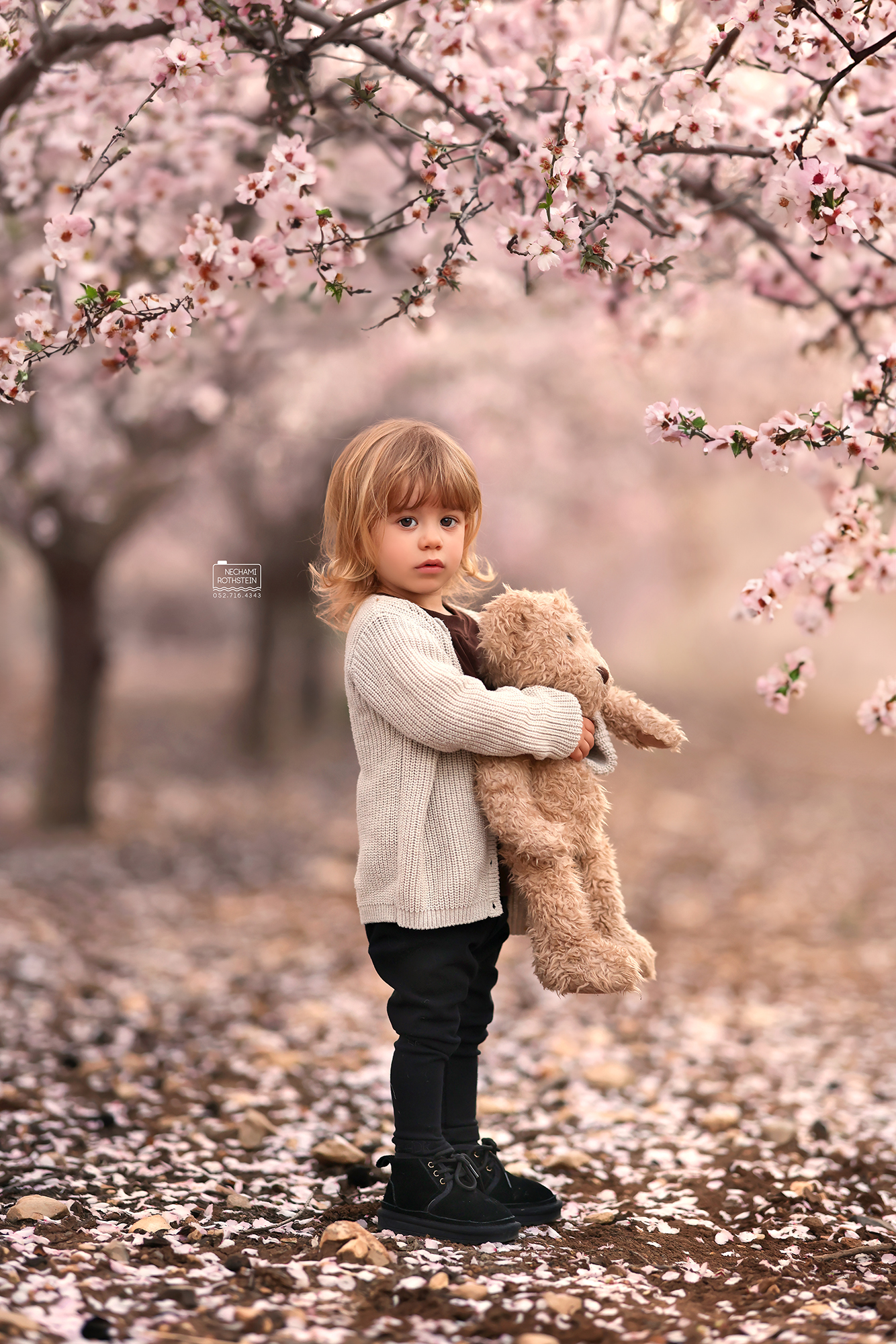 צילום נחמי רוטשטיין 0527164343 (2).jpg