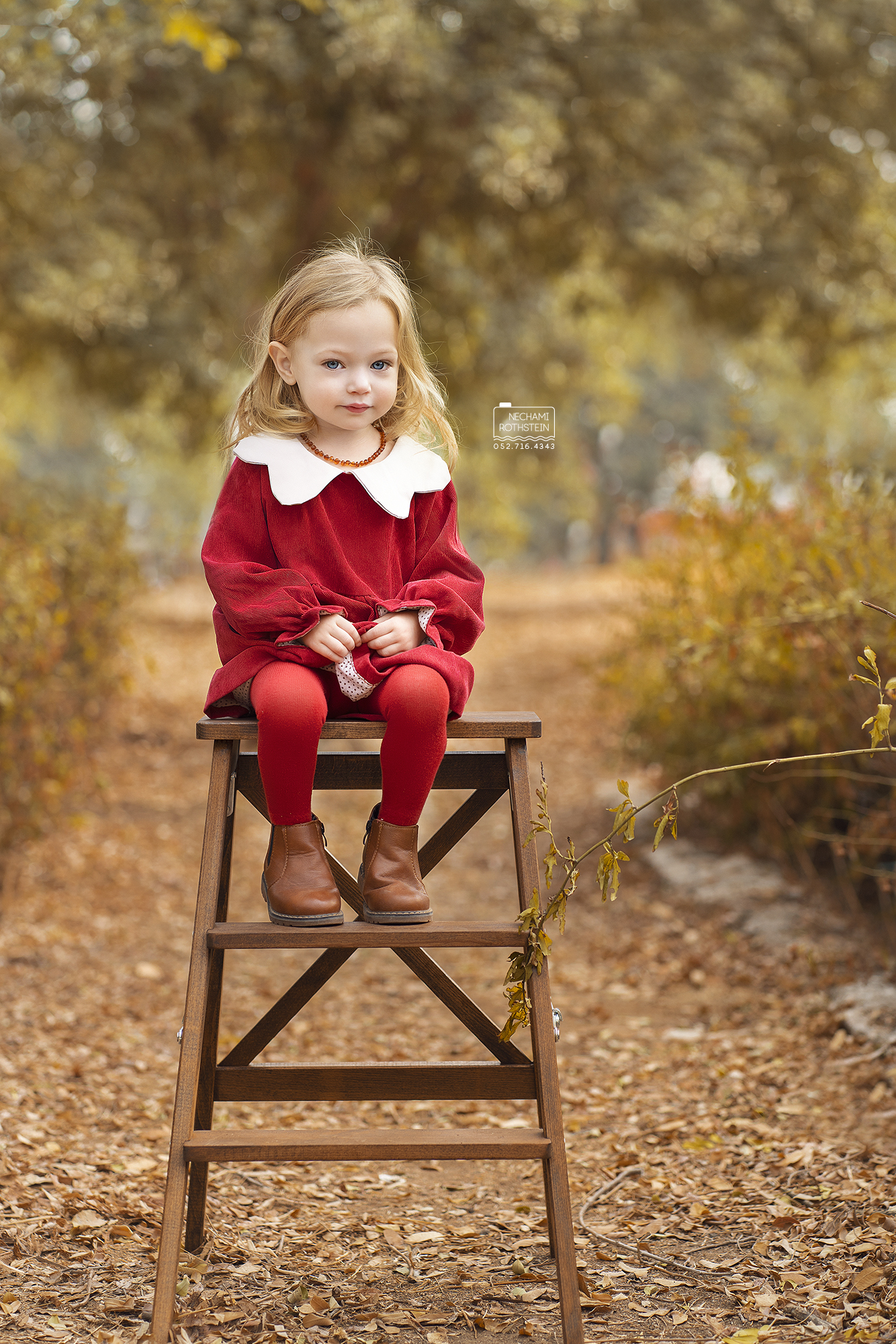 צילום נחמי רוטשטיין 0527164343 (3).jpg