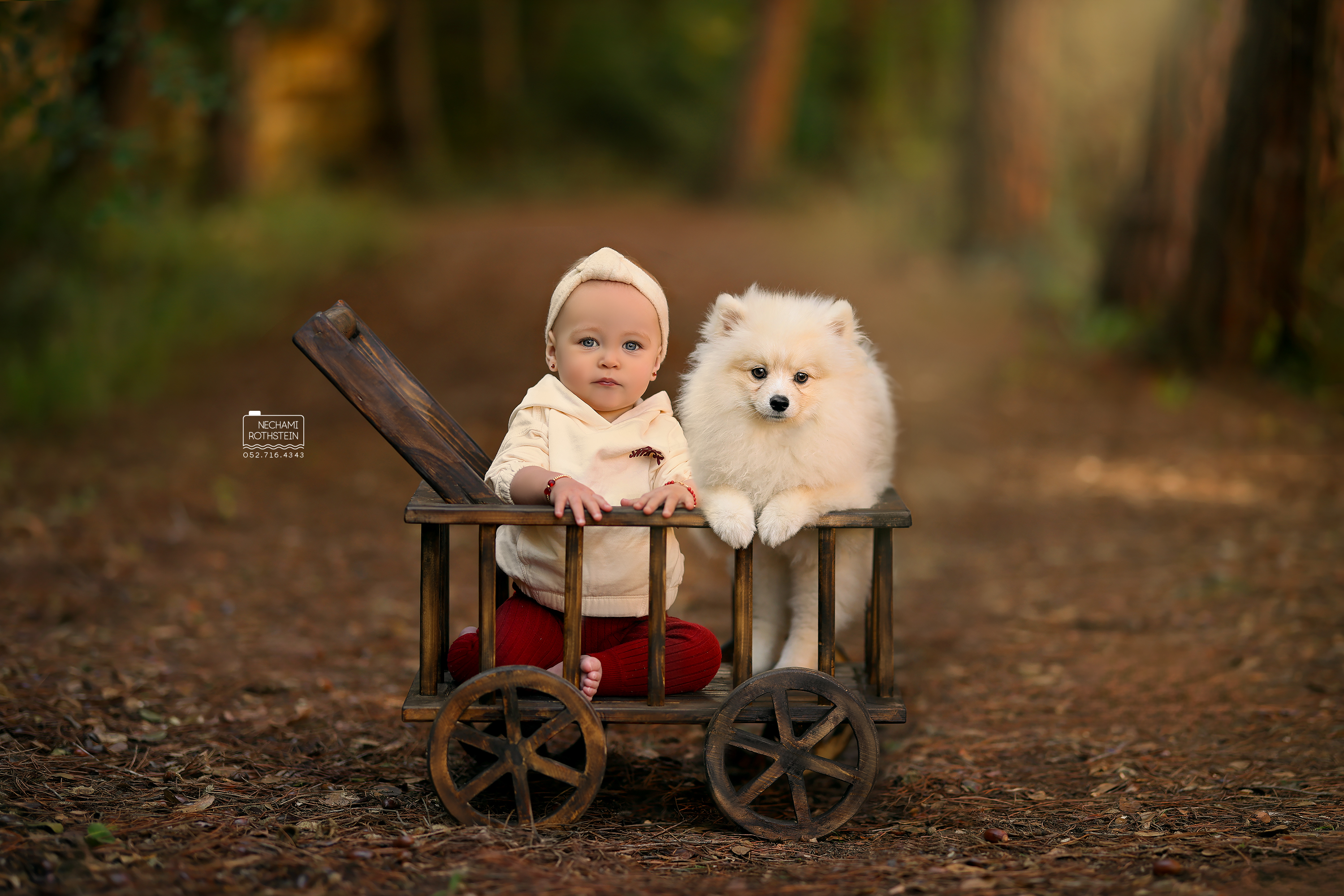 צילום נחמי רוטשטיין 0527164343 (3).jpg