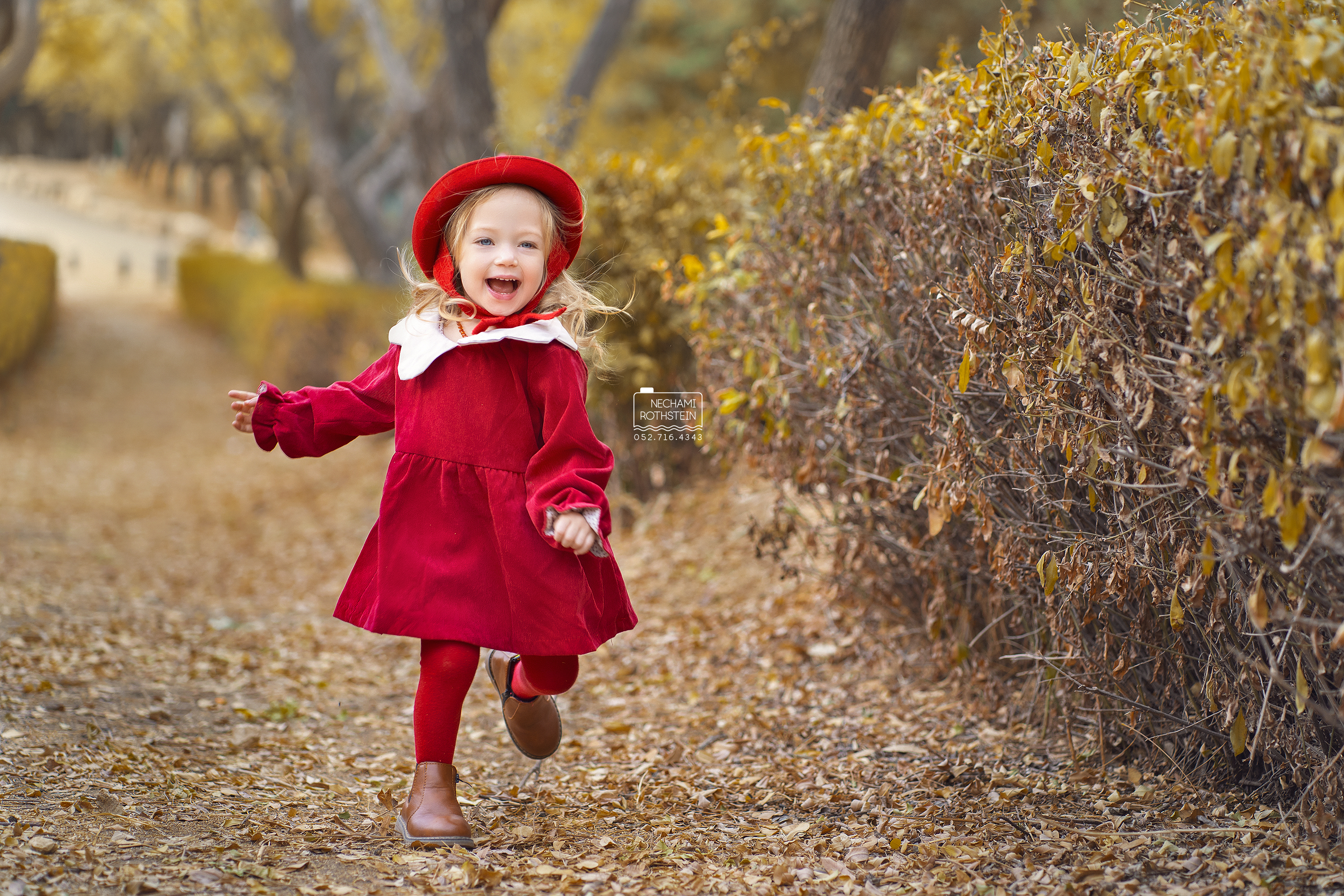 צילום נחמי רוטשטיין 0527164343 (4).jpg