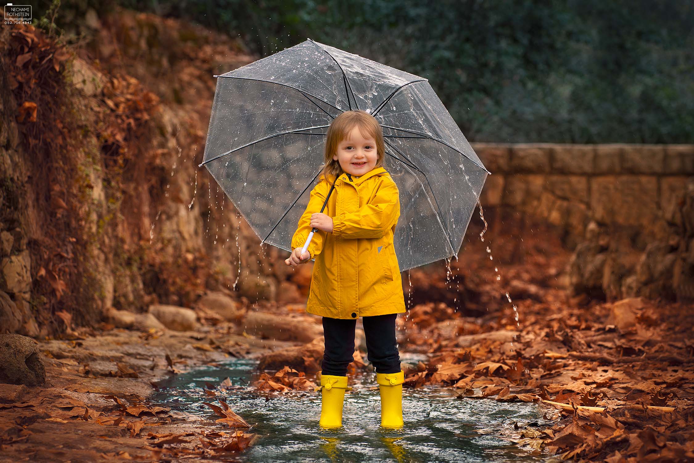 צילום נחמי רוטשטיין 0527164343 (4).jpg