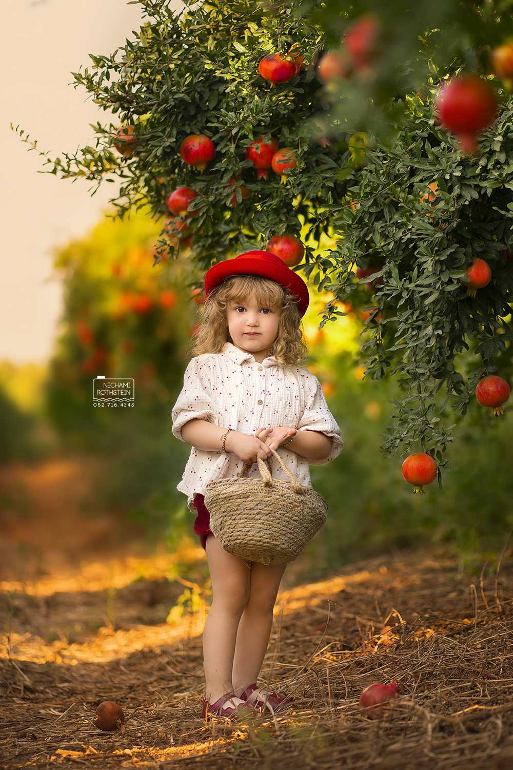 צילום נחמי רוטשטיין 0527164343 (4).jpg