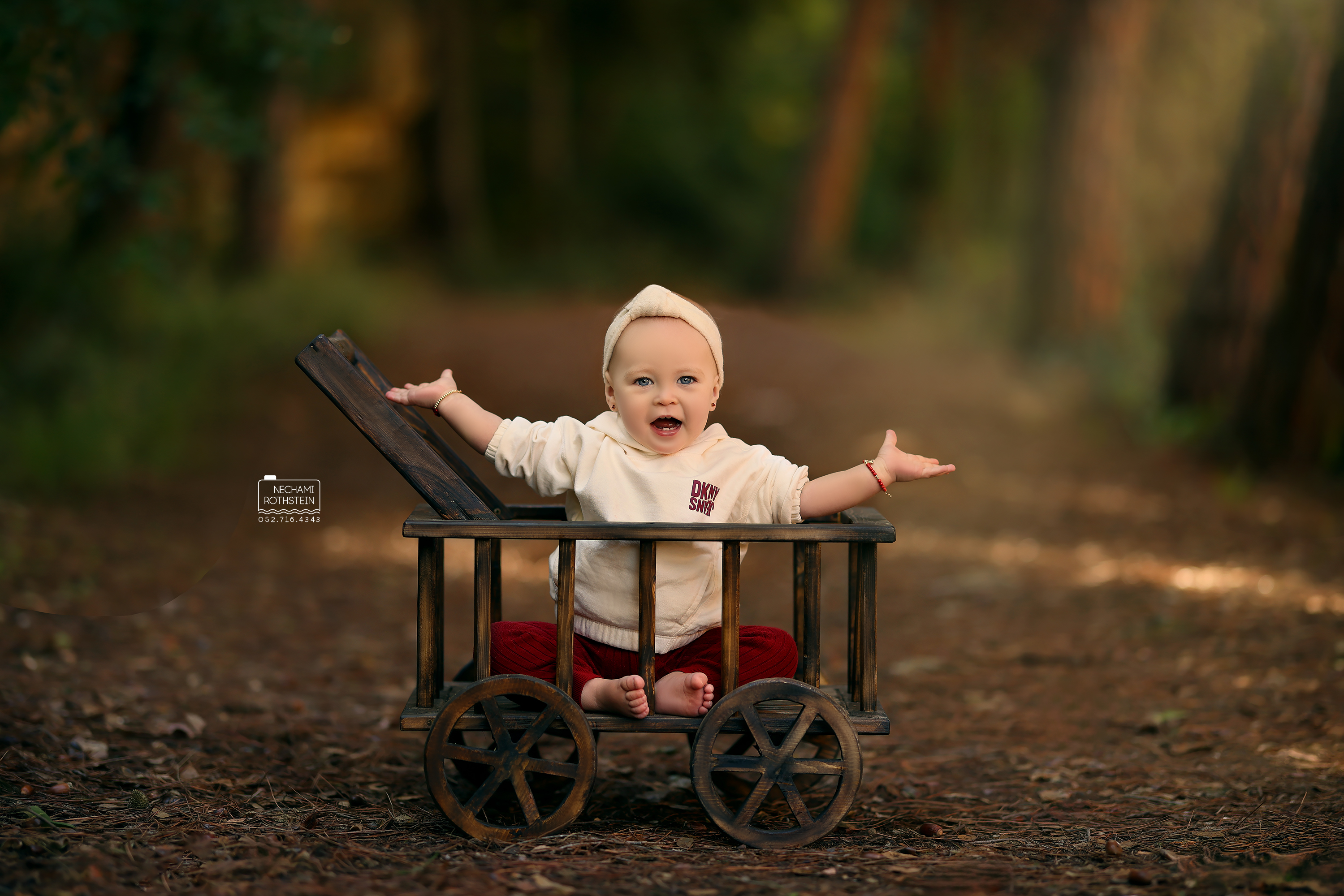 צילום נחמי רוטשטיין 0527164343 (4).jpg