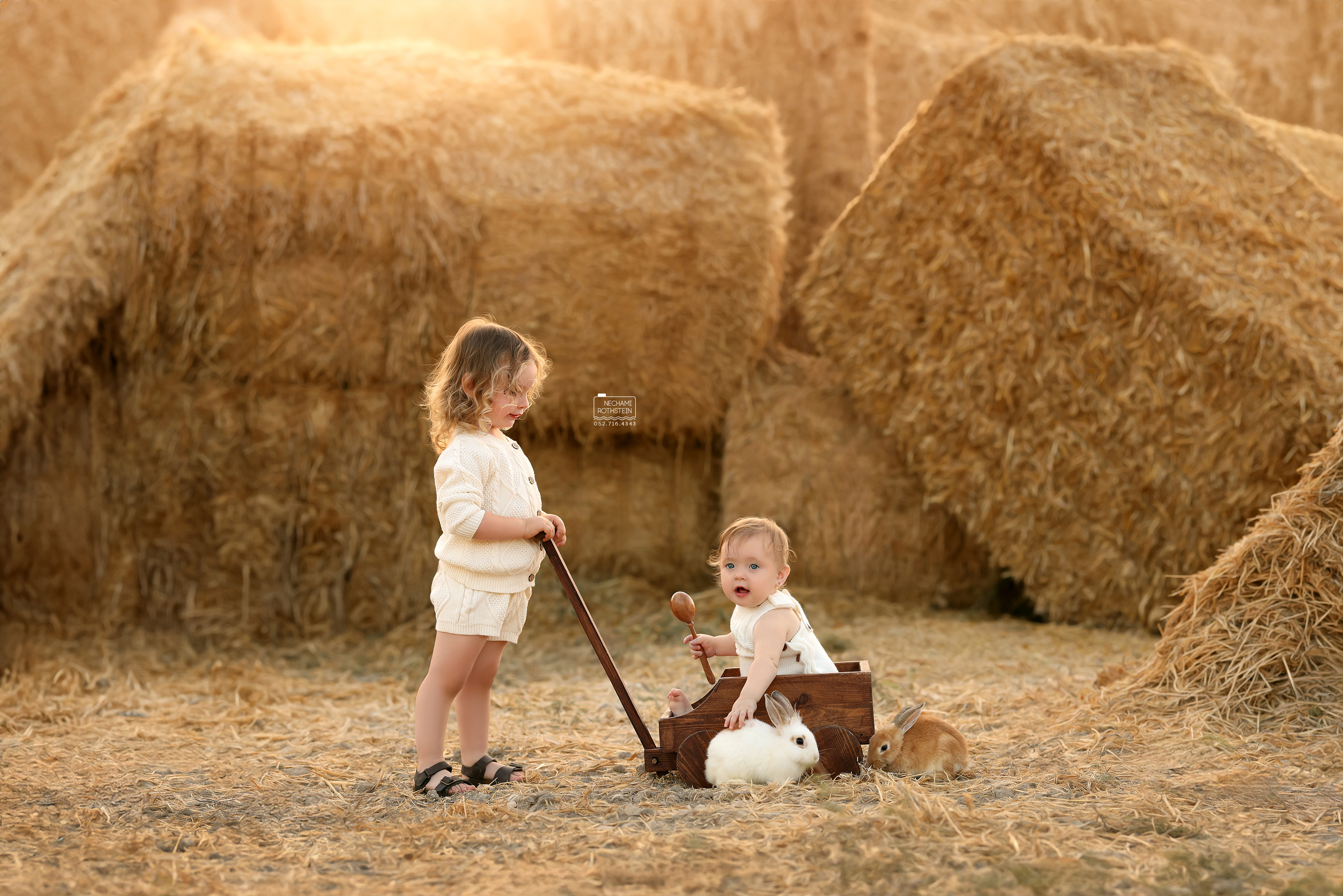 צילום נחמי רוטשטיין 0527164343 (4).jpg