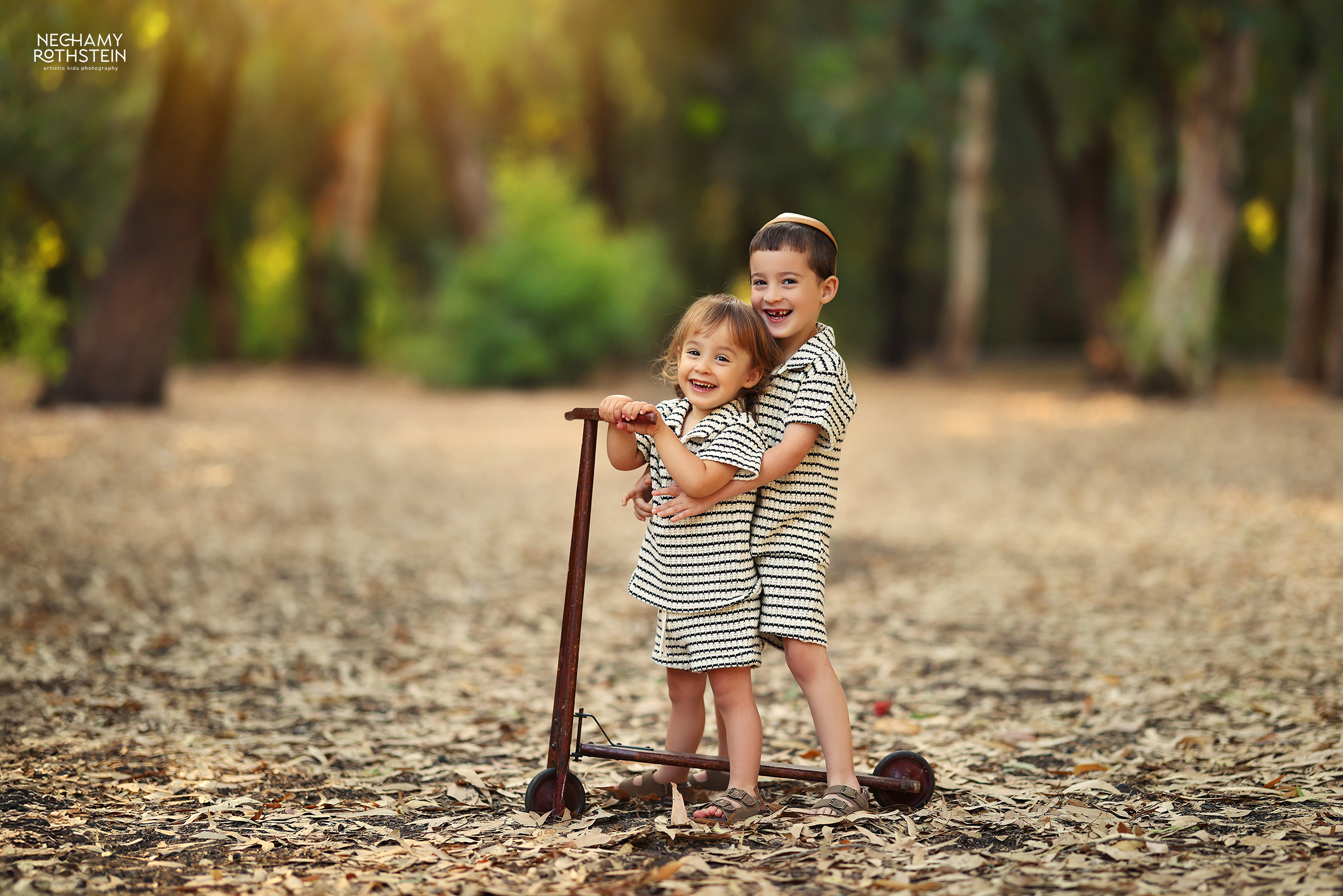 צילום נחמי רוטשטיין 0527164343 (4).jpg