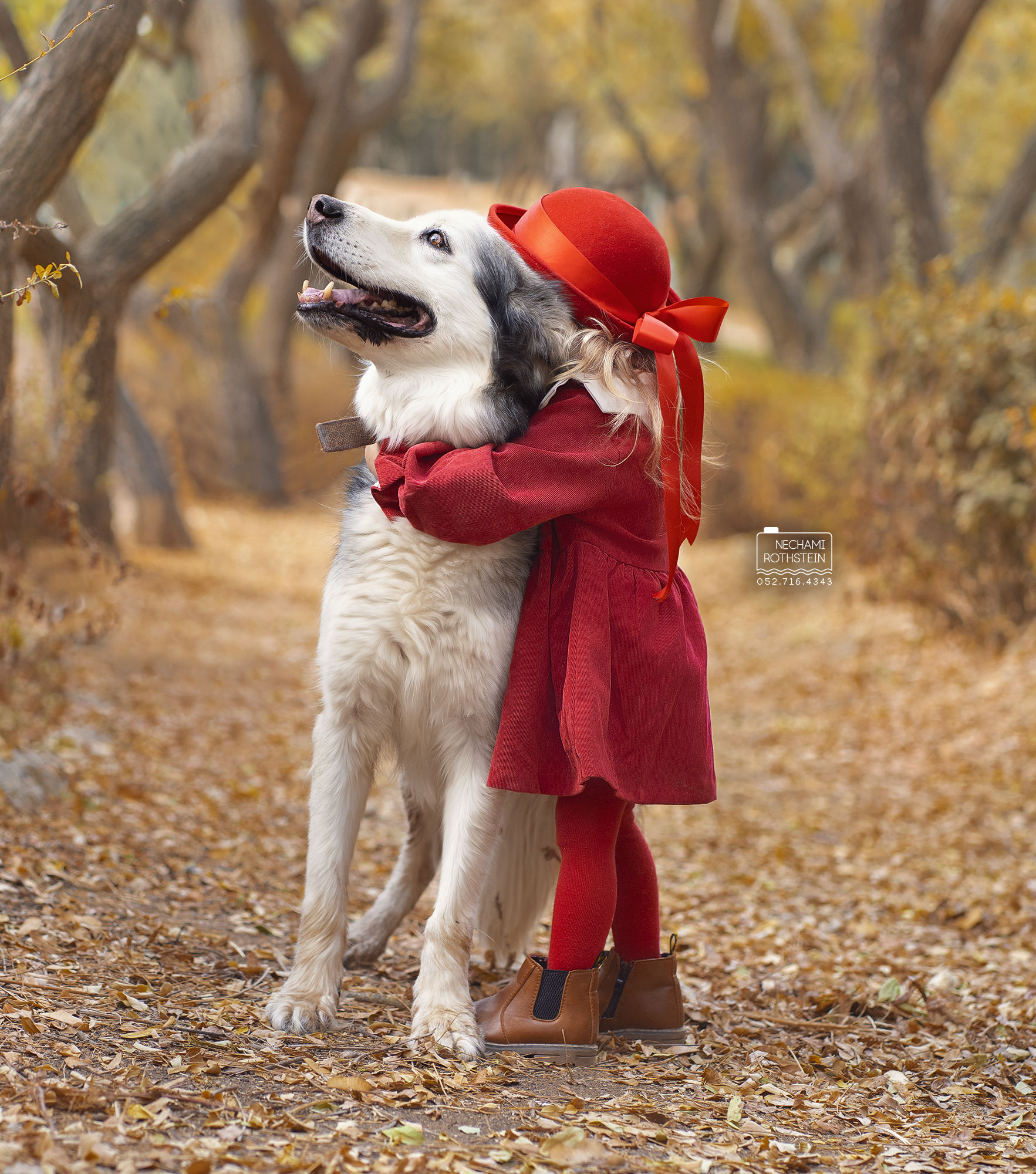 צילום נחמי רוטשטיין 0527164343 (5).jpg