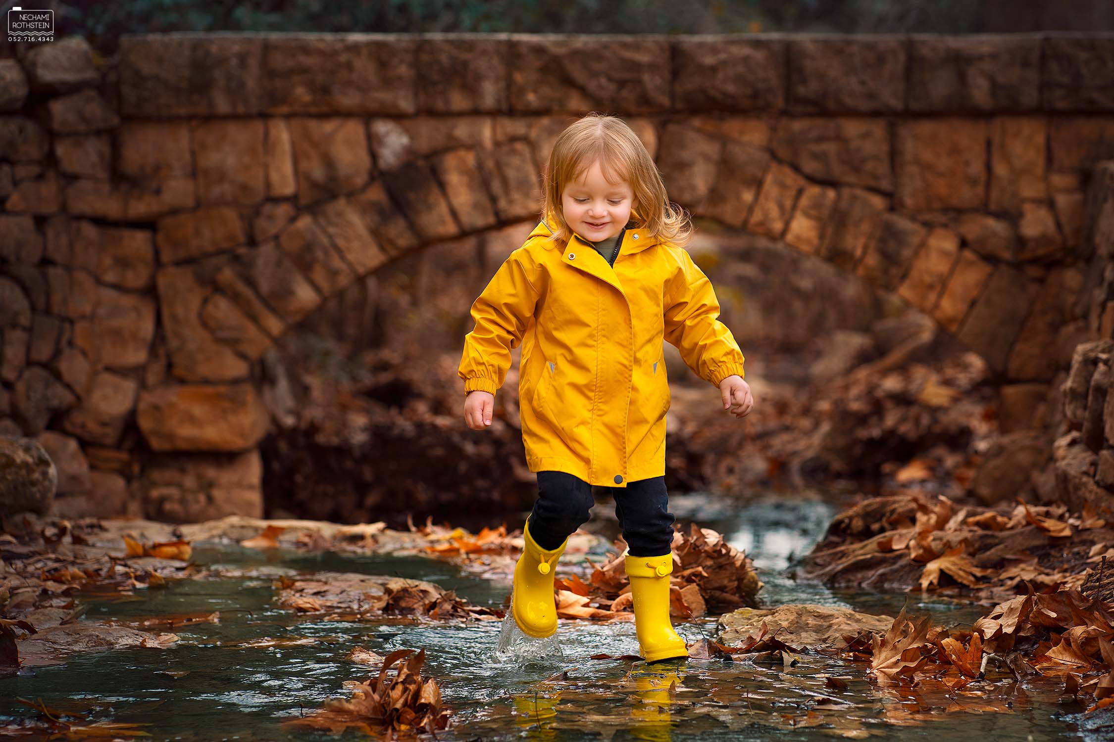 צילום נחמי רוטשטיין 0527164343 (5).jpg