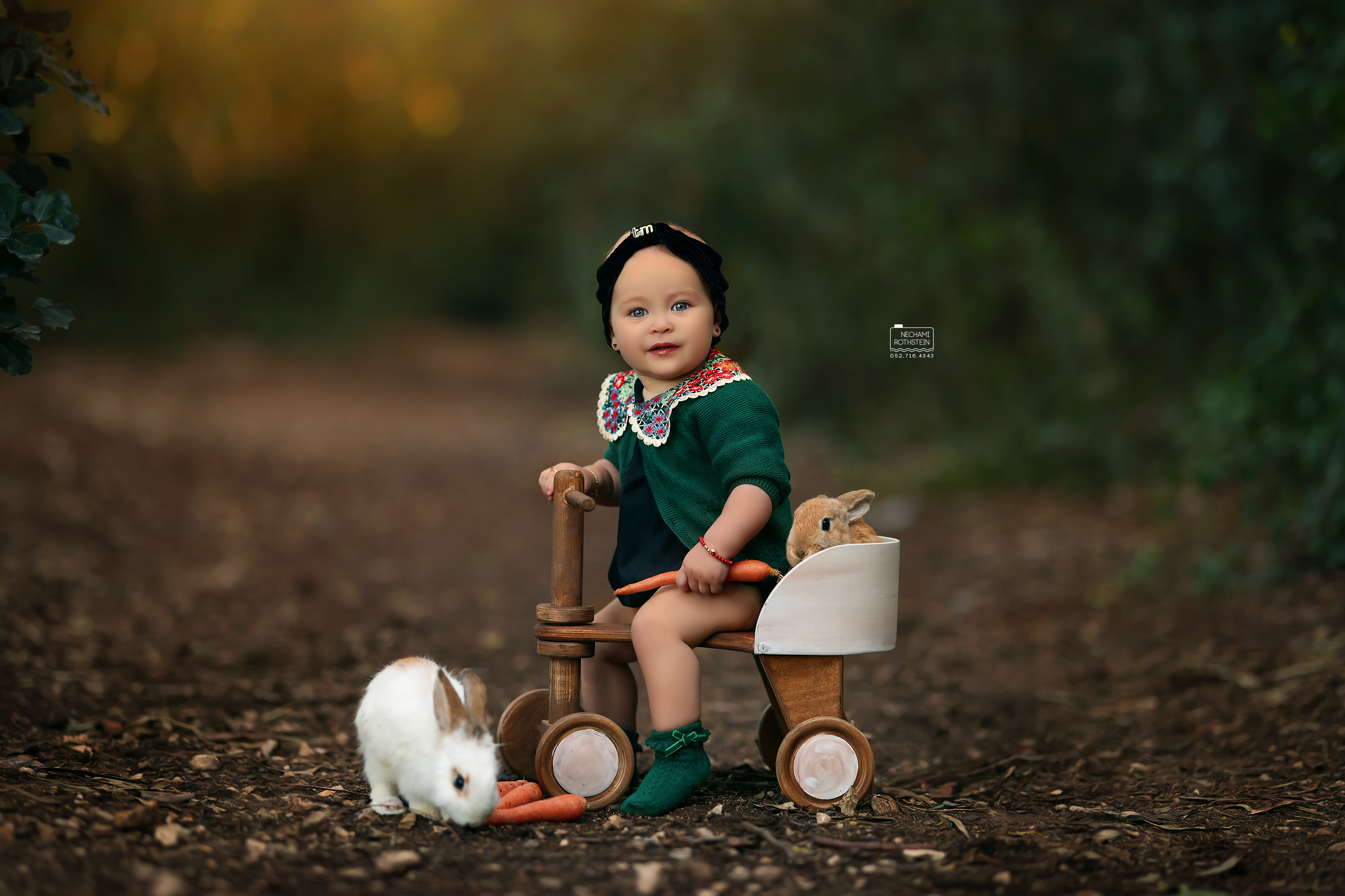 צילום נחמי רוטשטיין 0527164343 (5).jpg