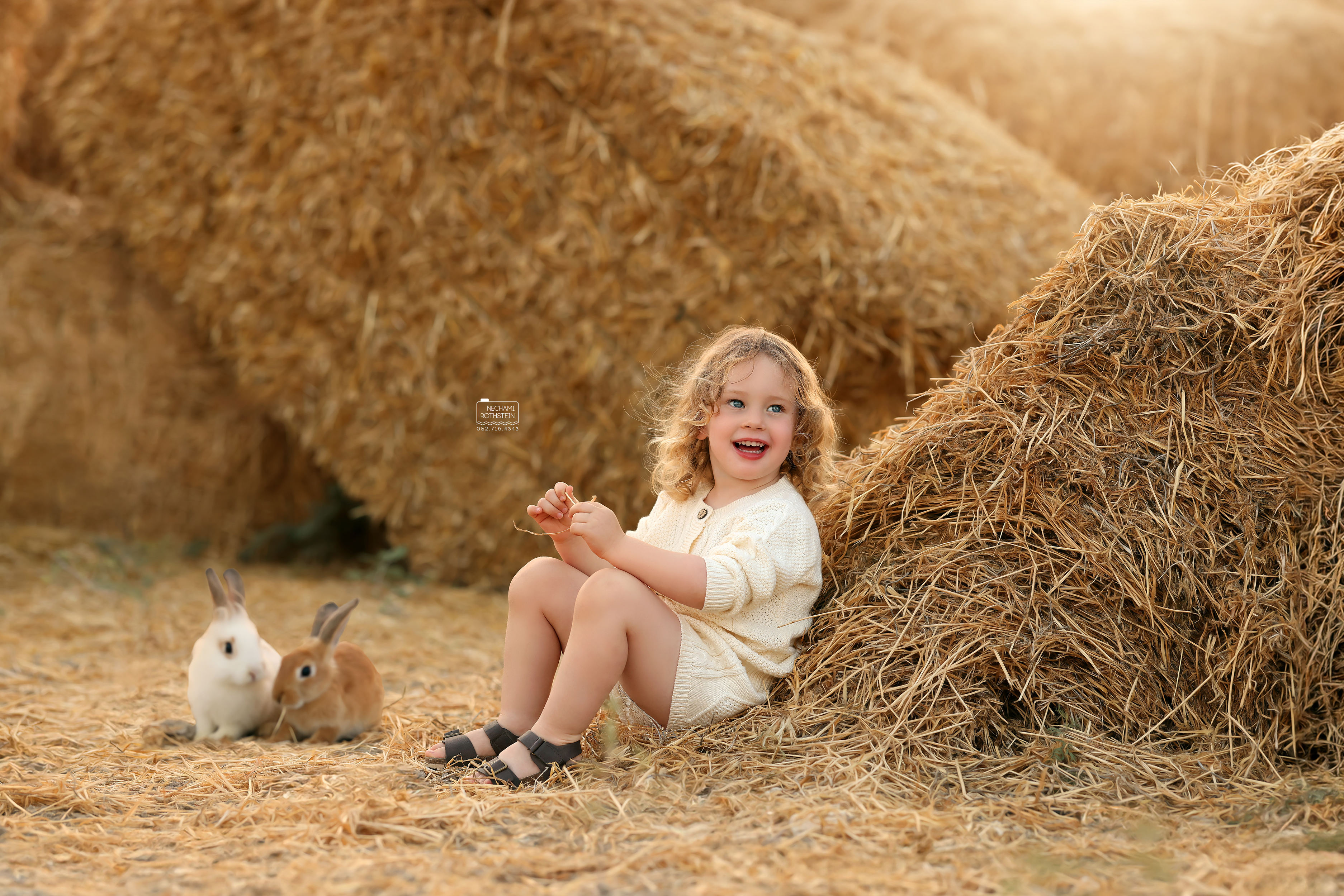 צילום נחמי רוטשטיין 0527164343 (5).jpg