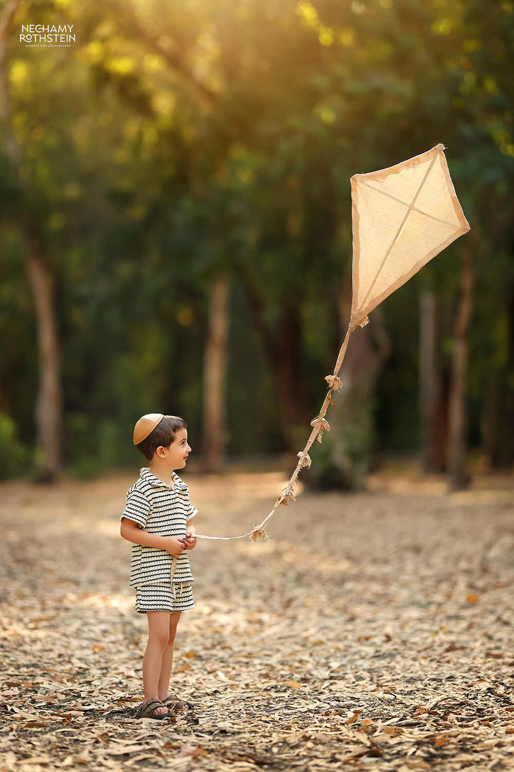 צילום נחמי רוטשטיין 0527164343 (5).jpg