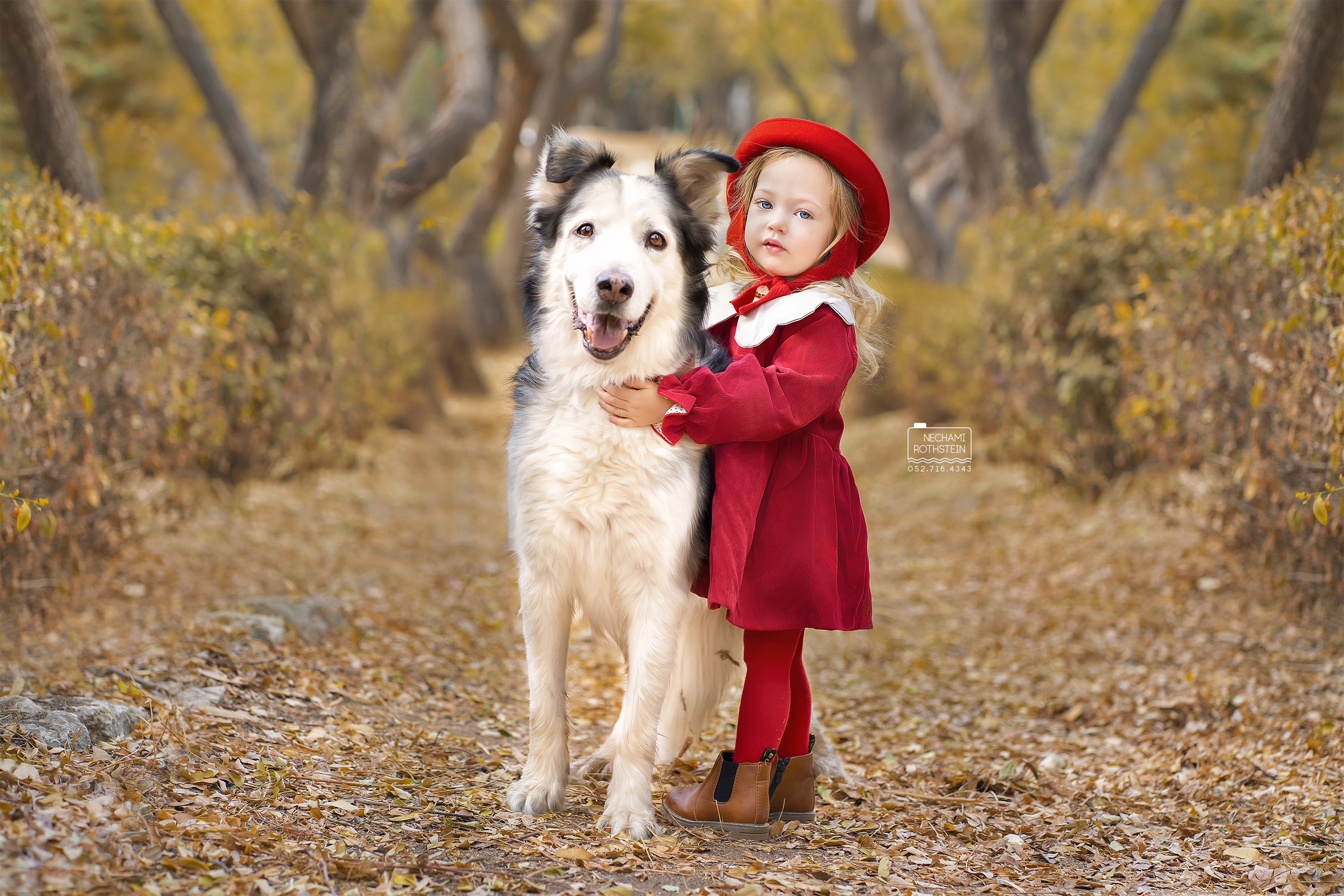 צילום נחמי רוטשטיין 0527164343 (6).jpg