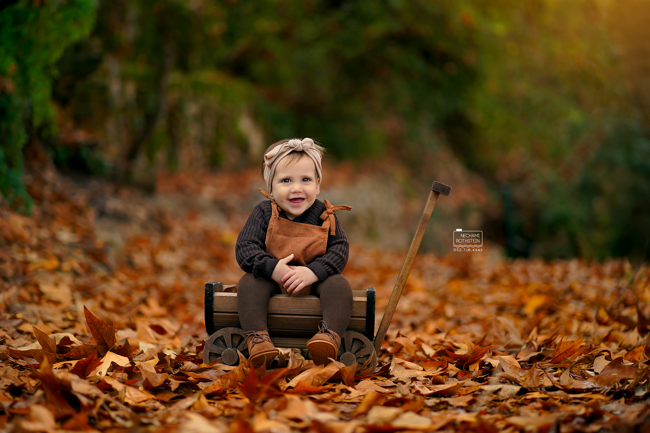 צילום נחמי רוטשטיין 0527164343 (6).jpg