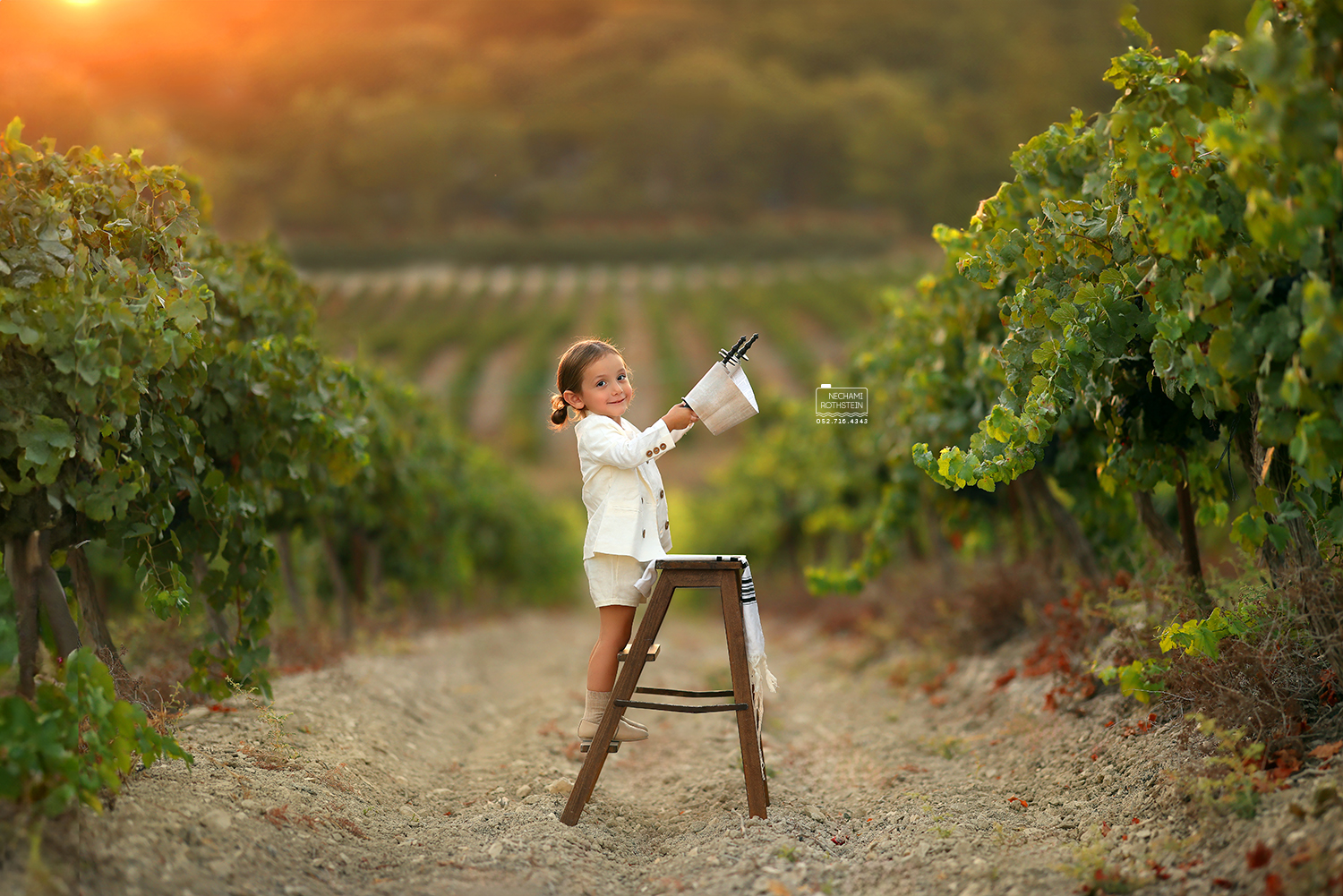 צילום נחמי רוטשטיין 0527164343 (6).jpg