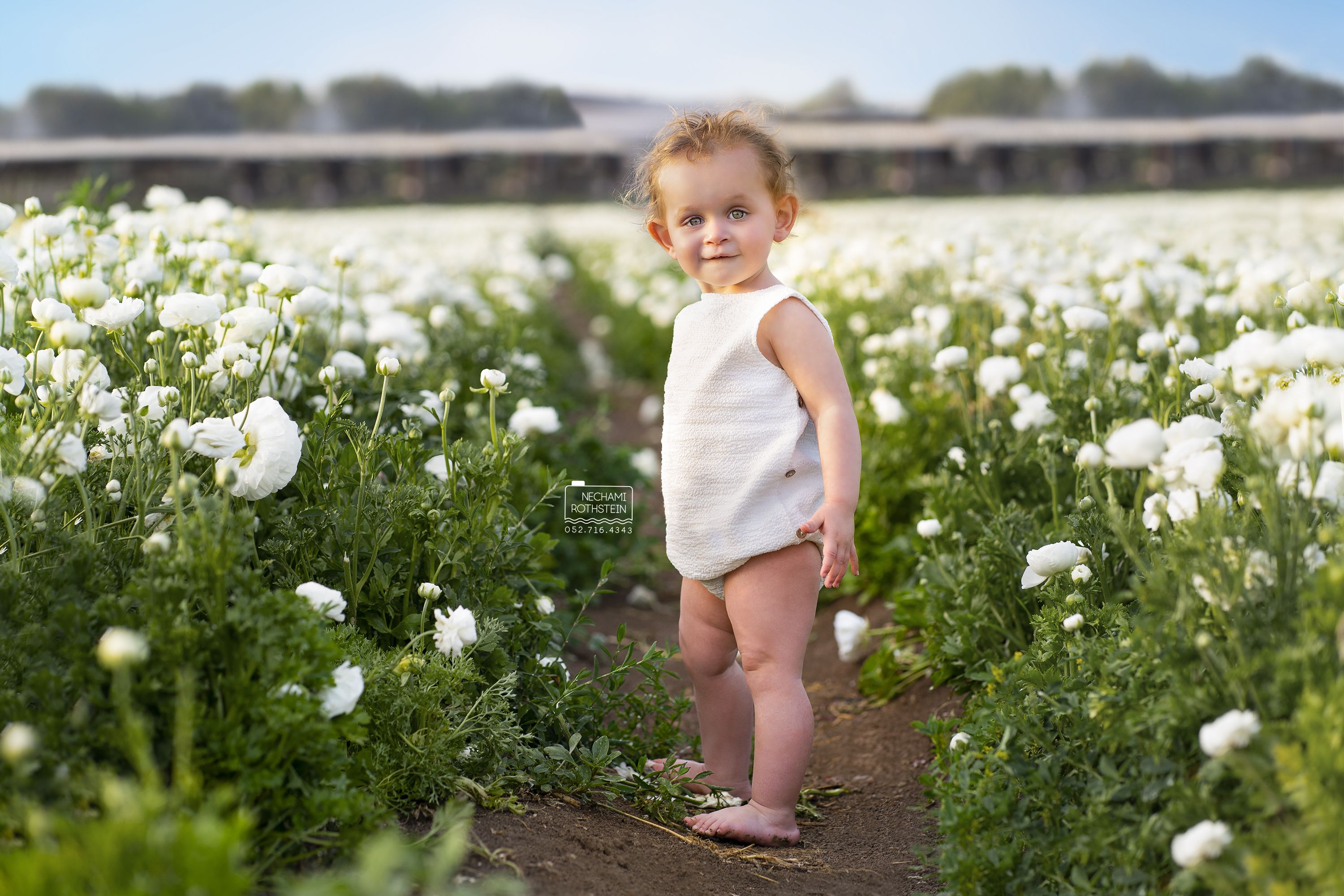 צילום נחמי רוטשטיין 0527164343 (6).jpg
