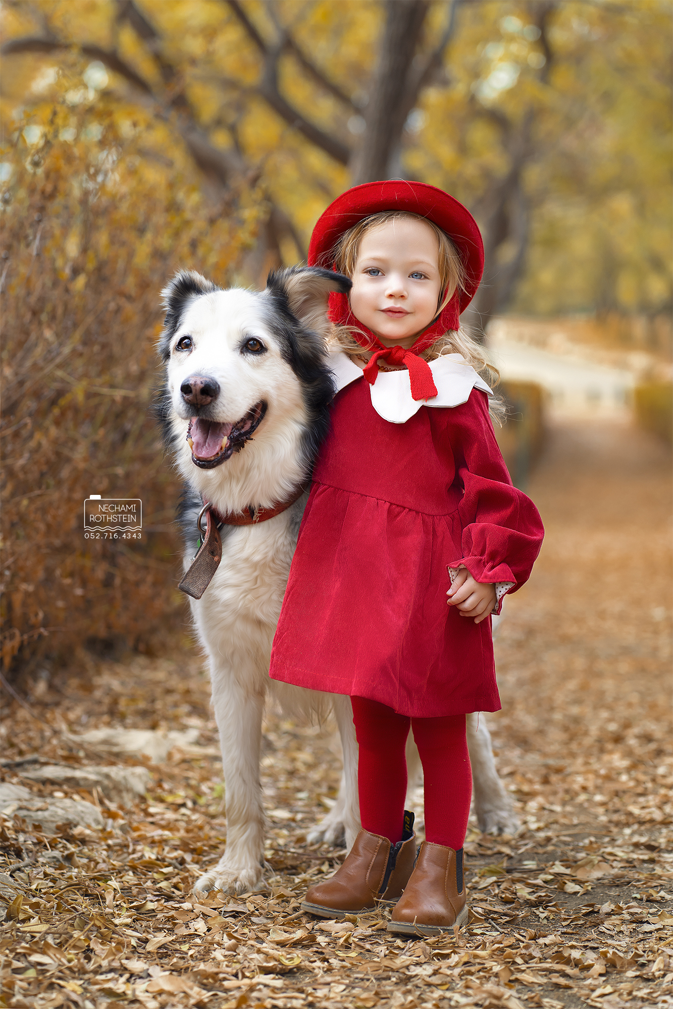 צילום נחמי רוטשטיין 0527164343 (7).jpg