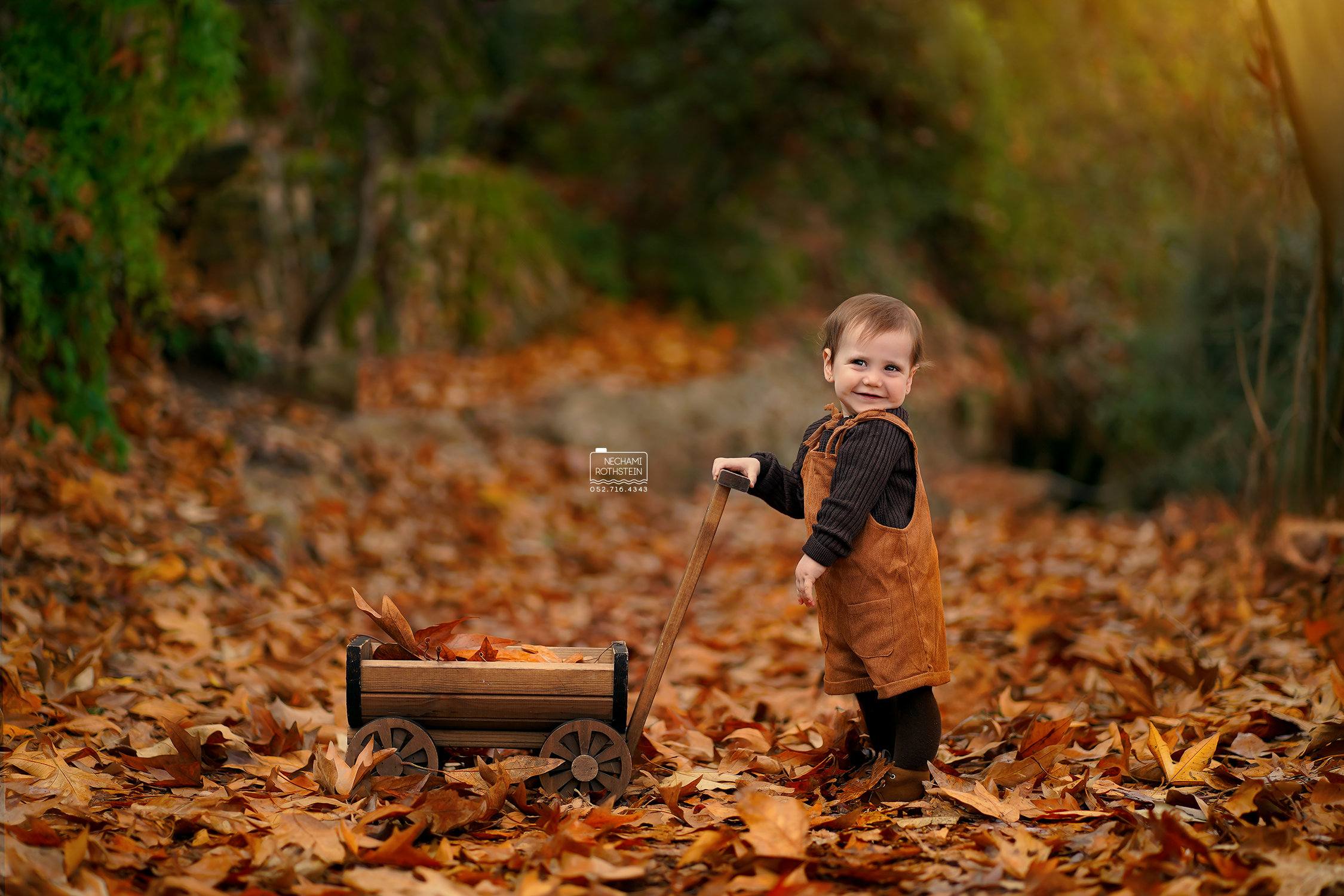 צילום נחמי רוטשטיין 0527164343 (7).jpg