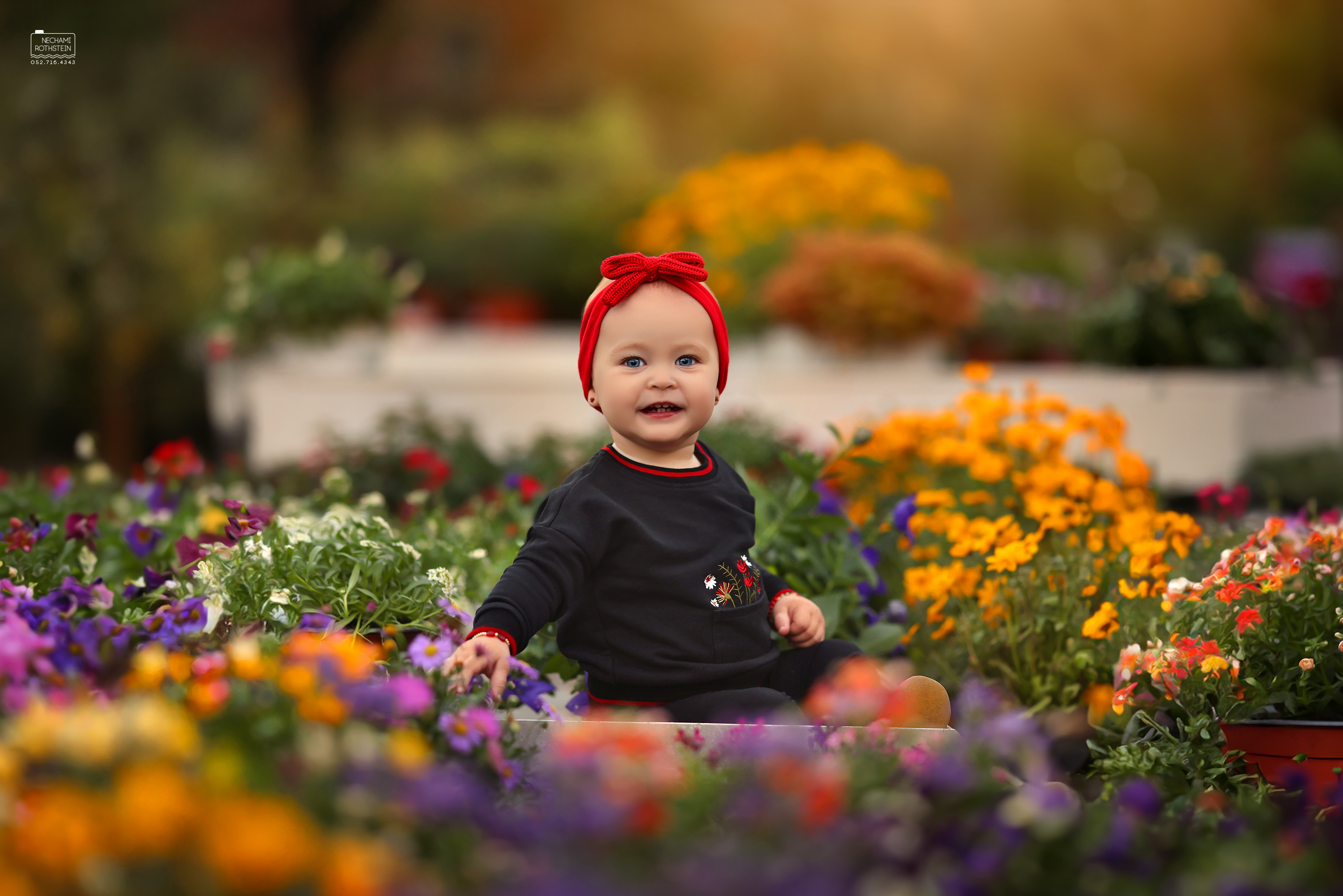 צילום נחמי רוטשטיין 0527164343 (7).jpg