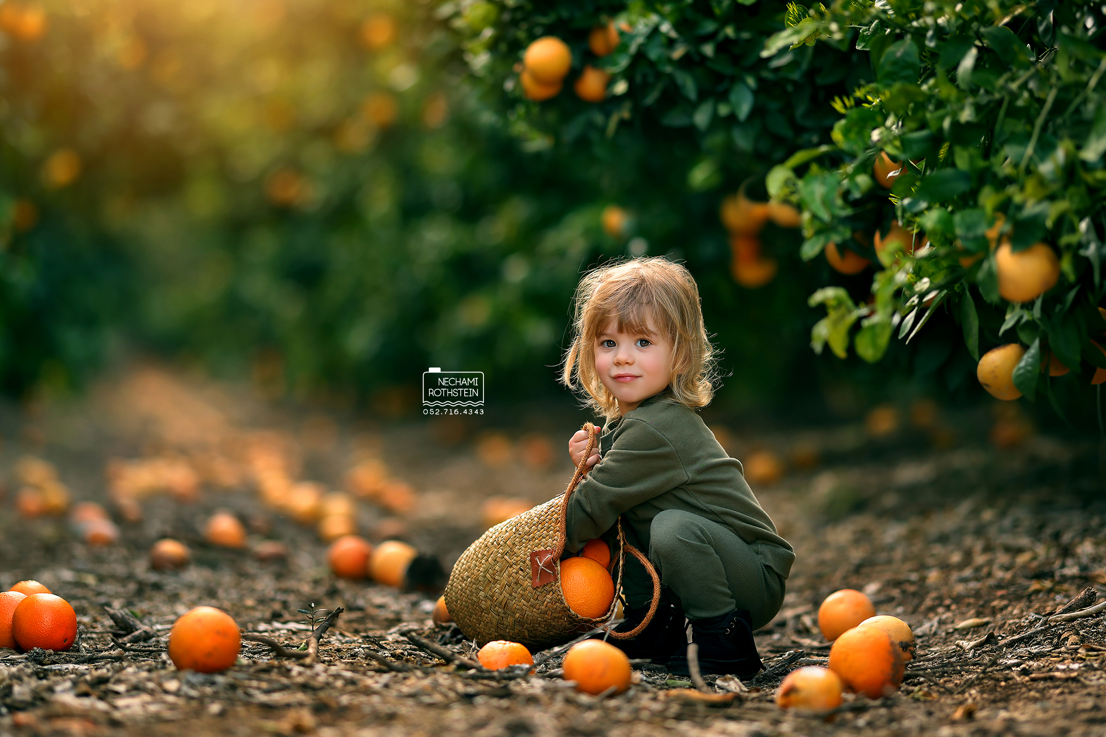 צילום נחמי רוטשטיין 0527164343 (7).jpg