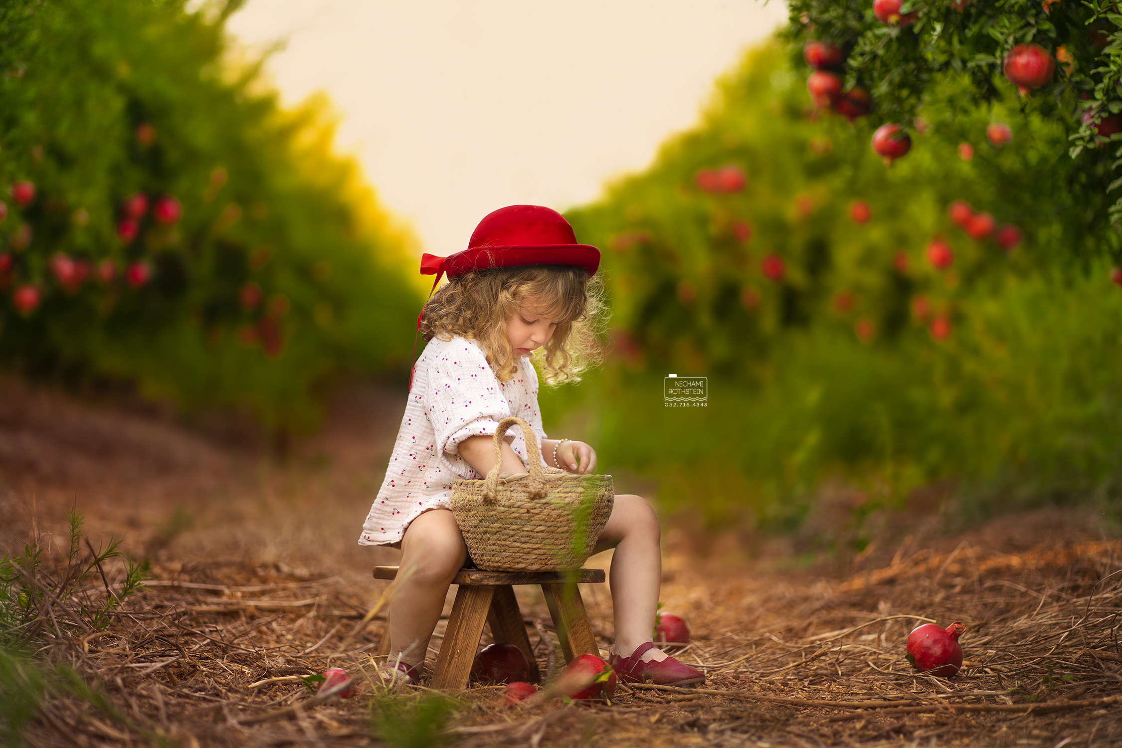 צילום נחמי רוטשטיין 0527164343 (8).jpg