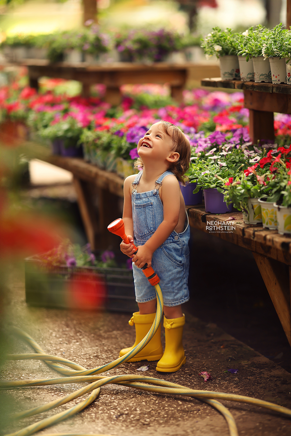 צילום נחמי רוטשטיין 0527164343 (8).jpg