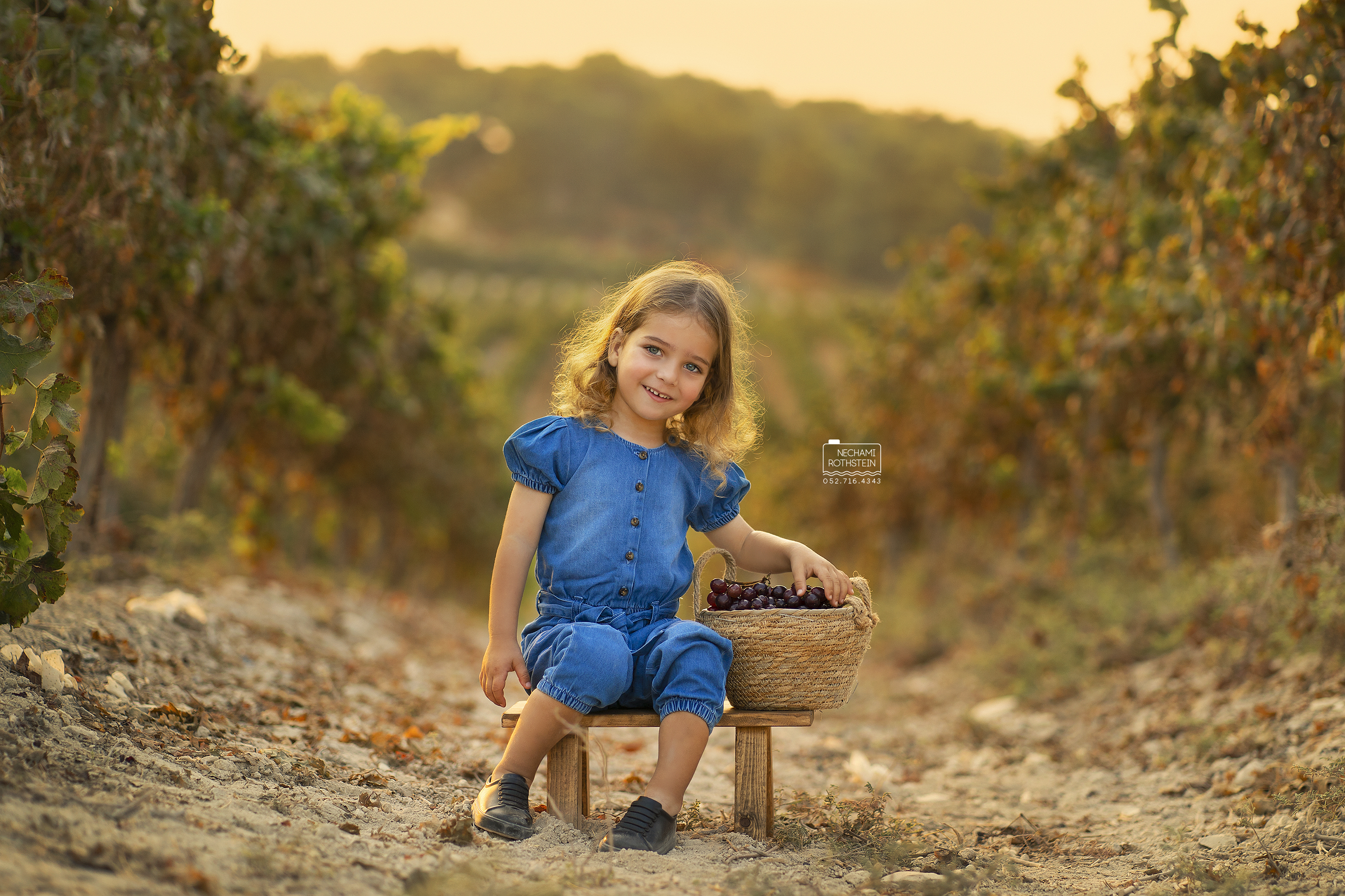 צילום נחמי רוטשטיין 0527164343 (9).jpg