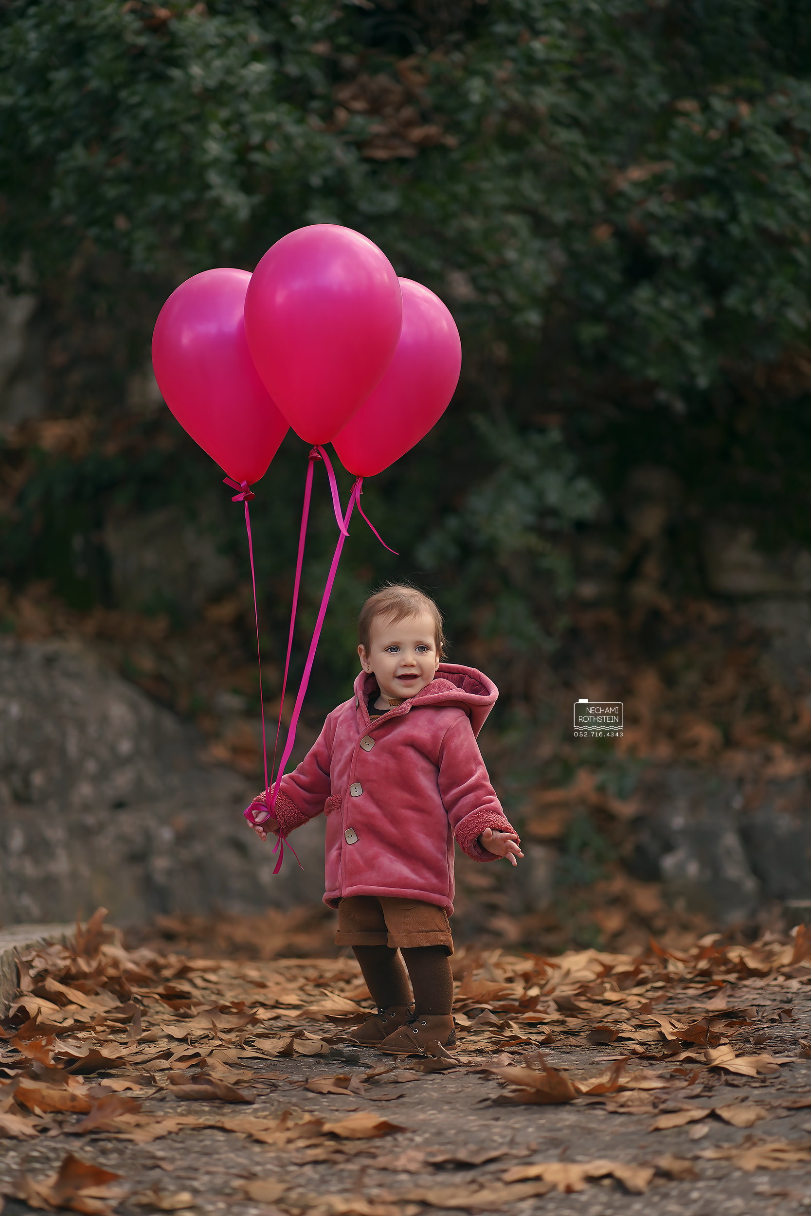 צילום נחמי רוטשטיין 0527164343 (9).jpg