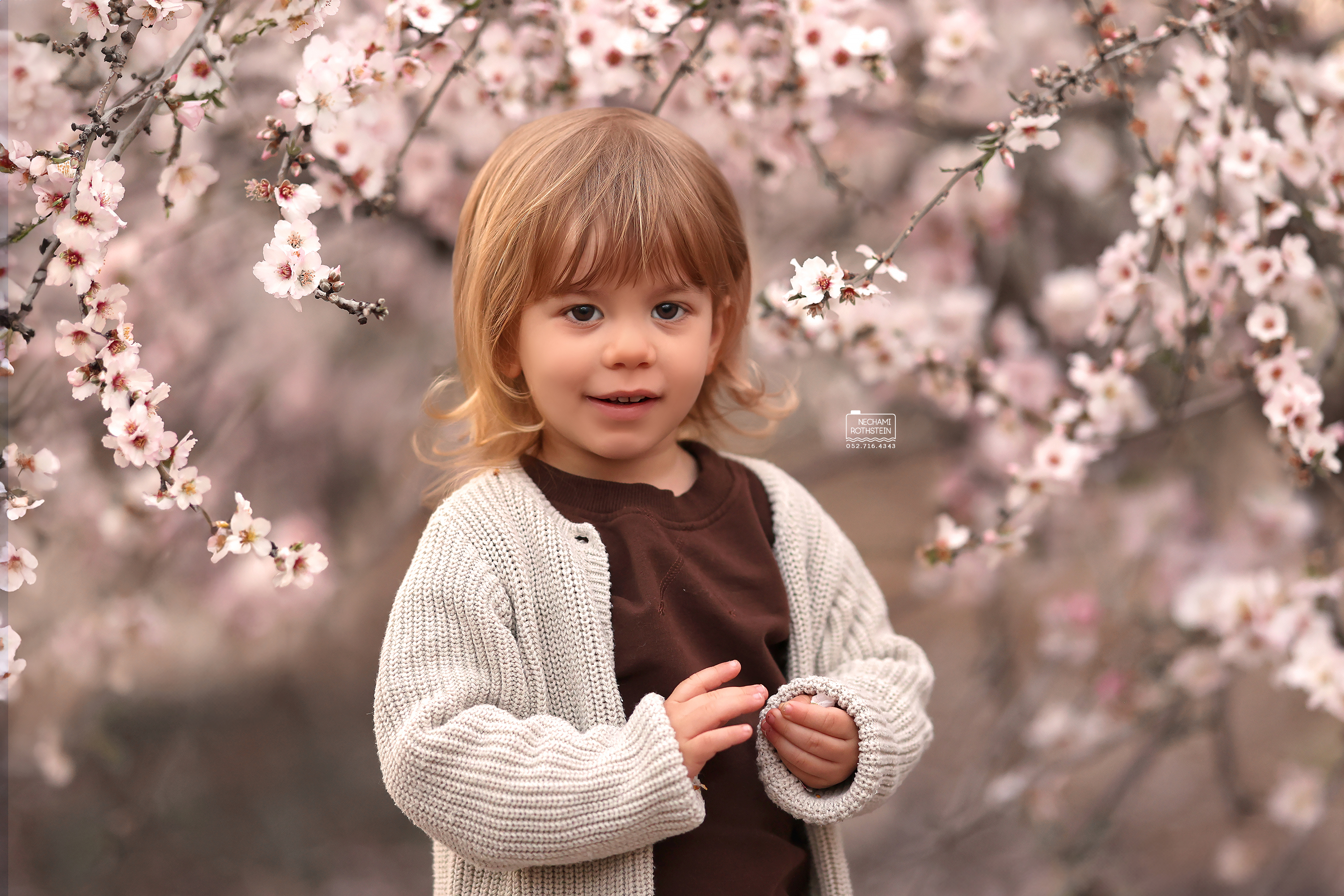 צילום נחמי רוטשטיין 0527164343.jpg