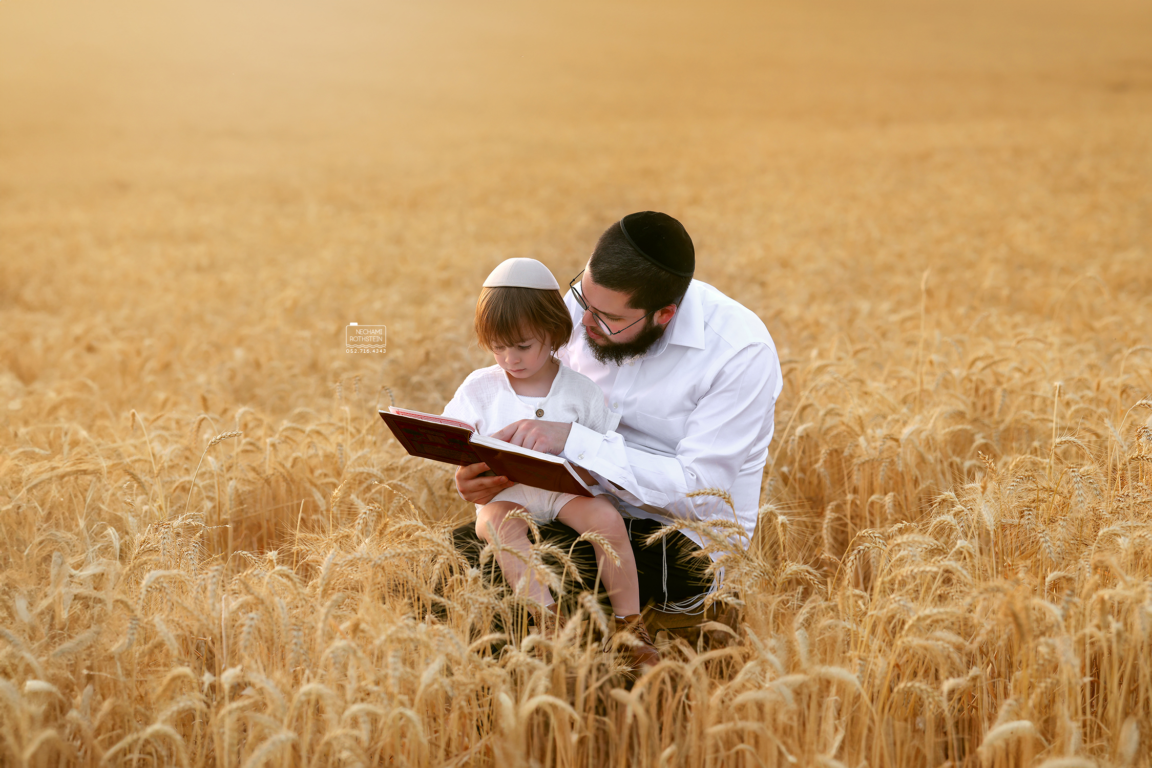 צילום נחמי רוטשטיין (10).jpg