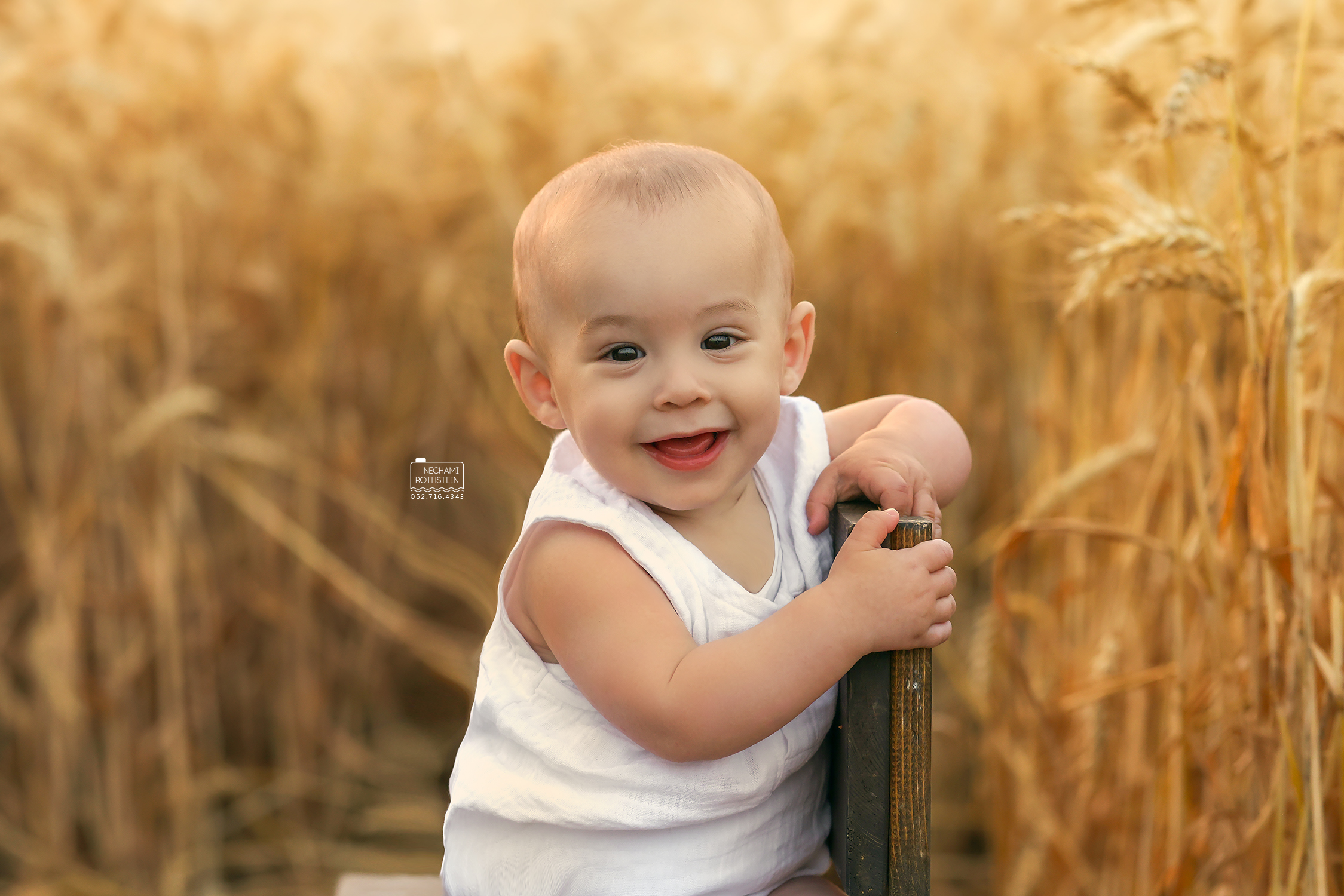 צילום נחמי רוטשטיין (12).jpg