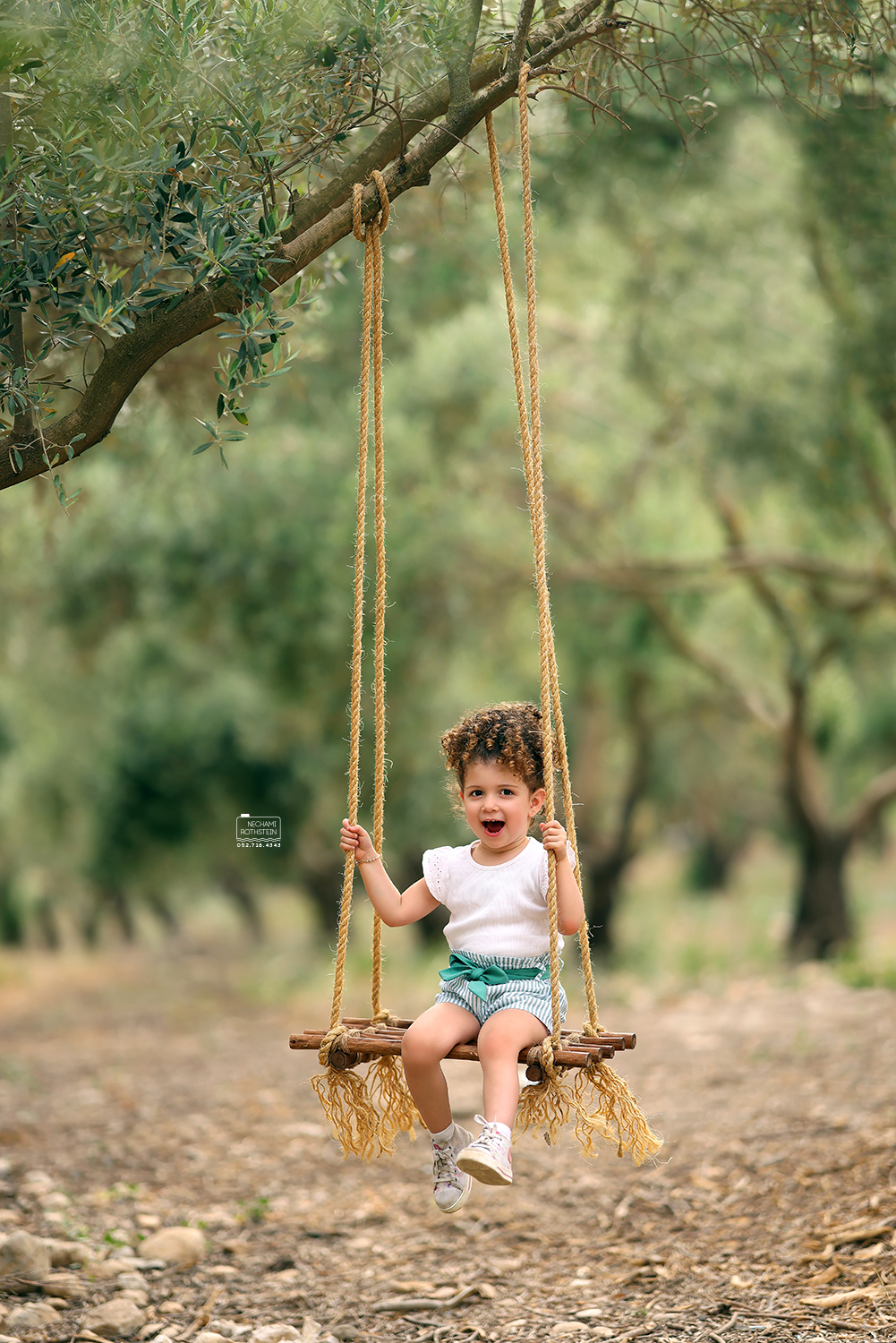 צילום נחמי רוטשטיין 2.jpg